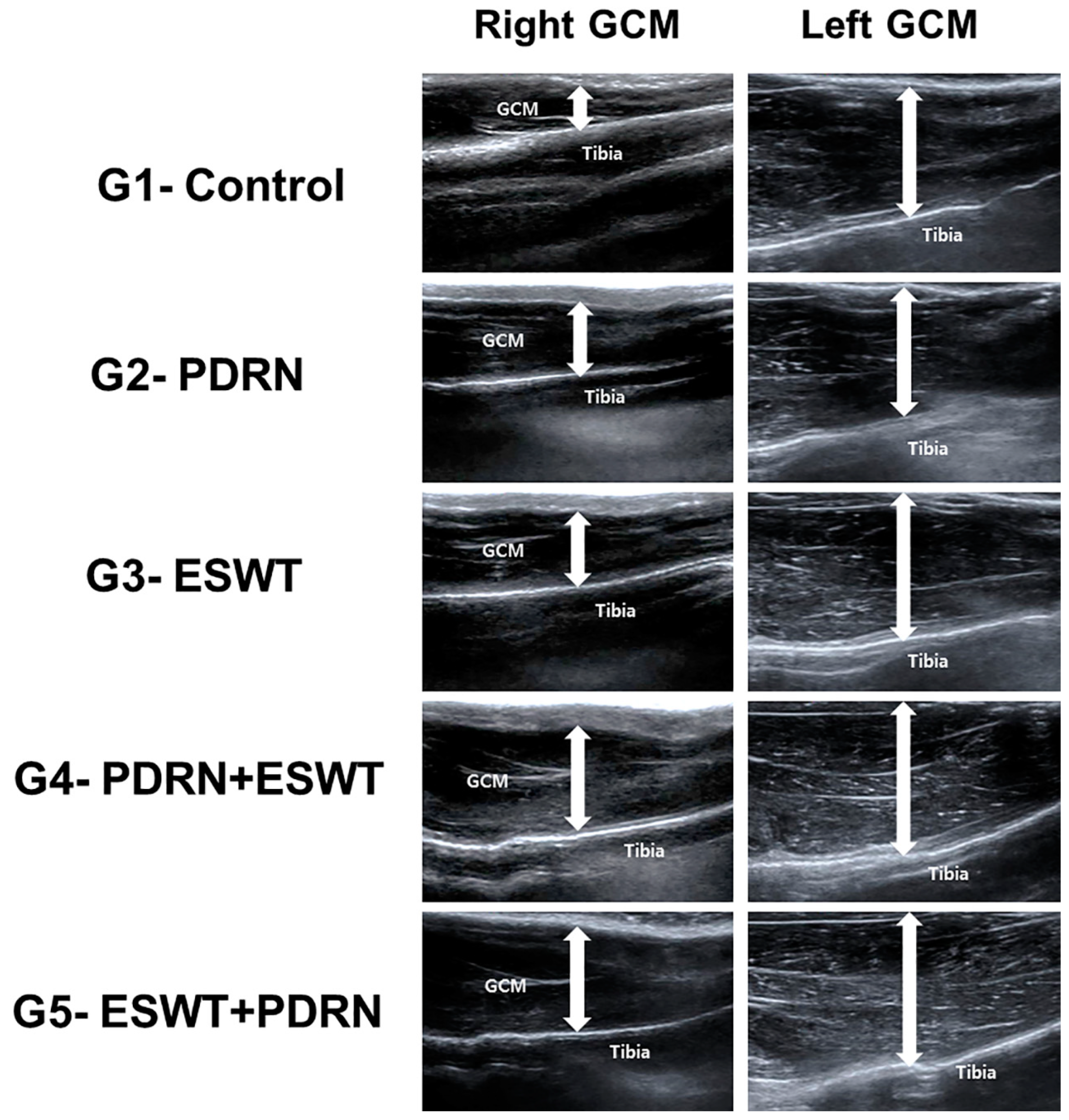 Ijms 24 12820 g005 Ijms 24 12820 g005