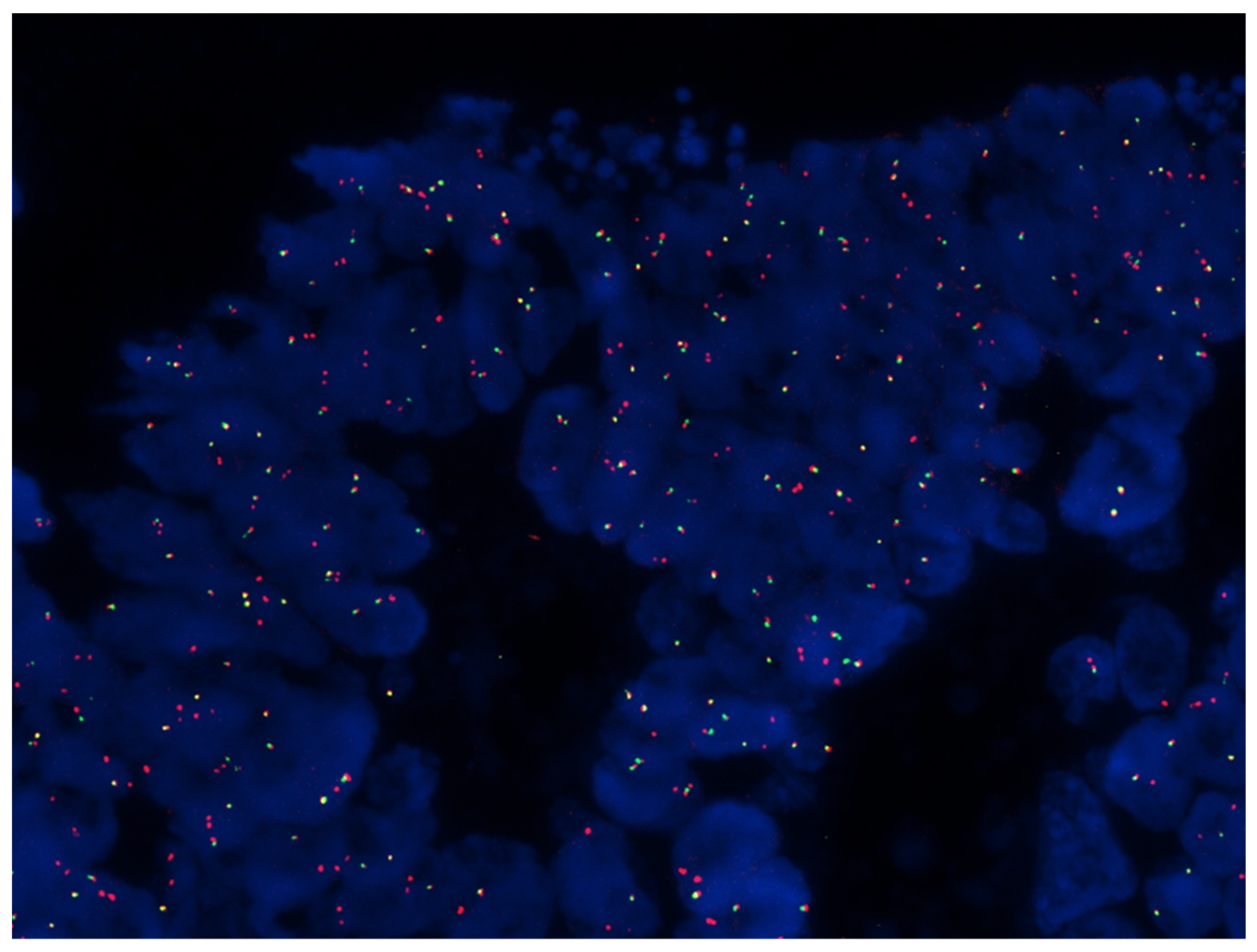 Ijms 24 12830 g003 Ijms 24 12830 g003