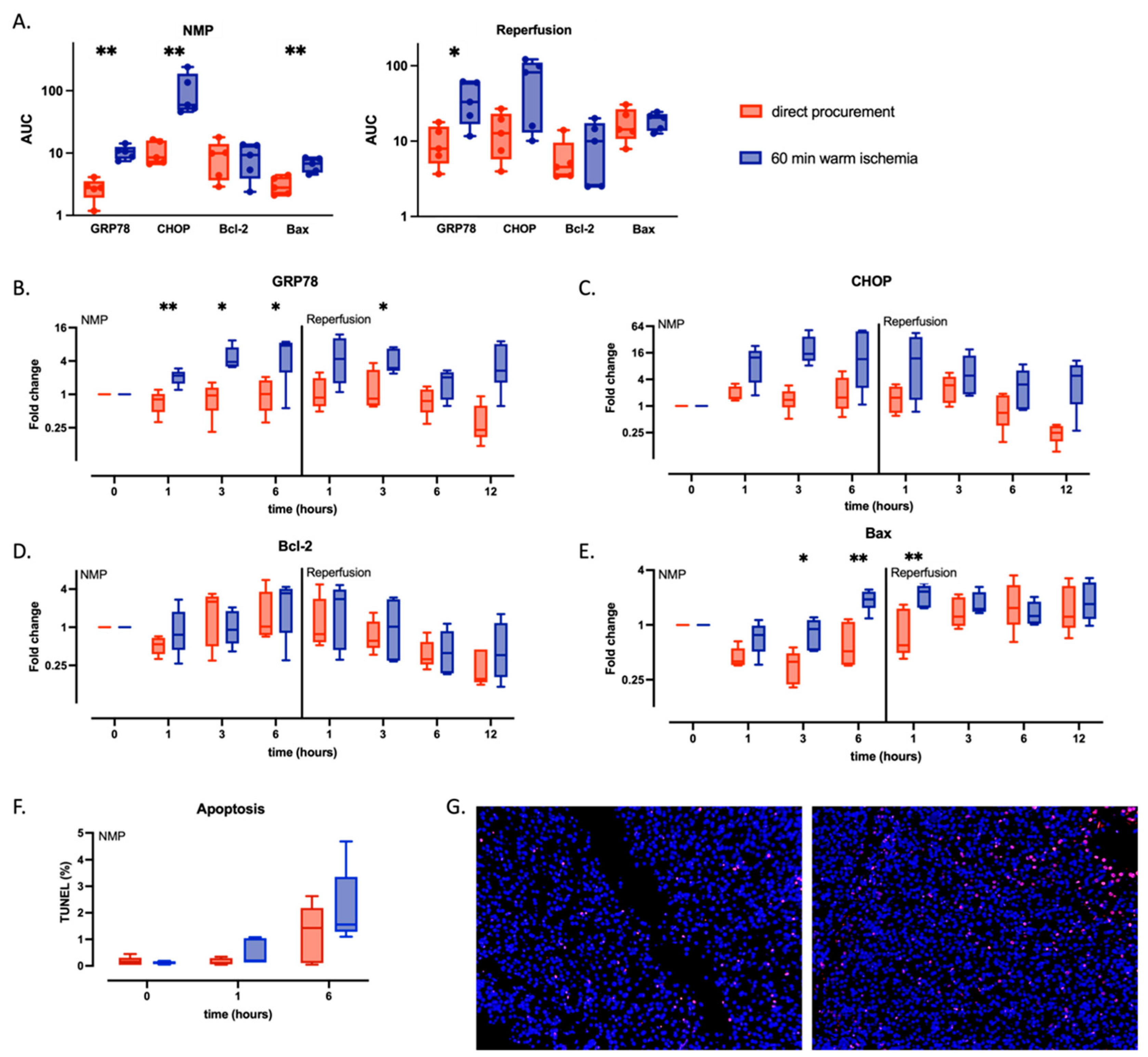 Ijms 24 12831 g004 550