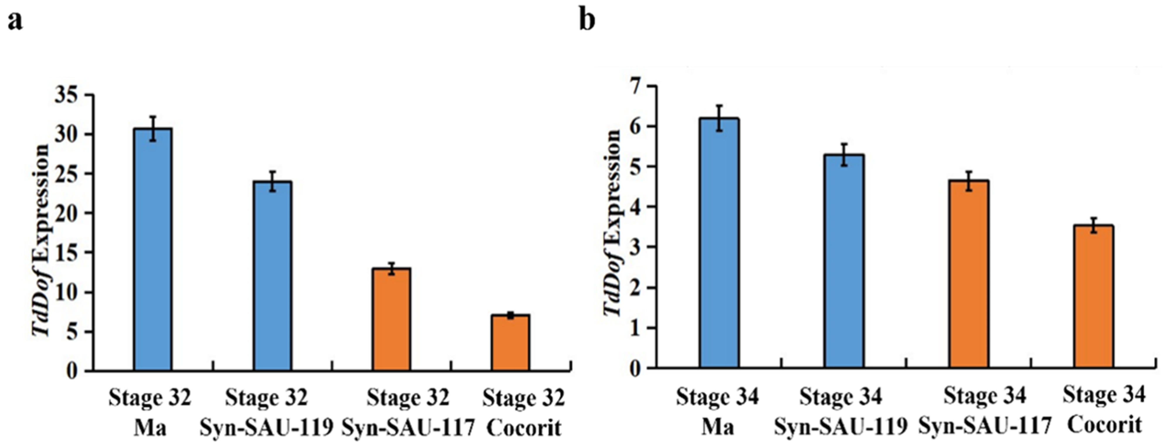 Ijms 24 12845 g001 Ijms 24 12845 g001
