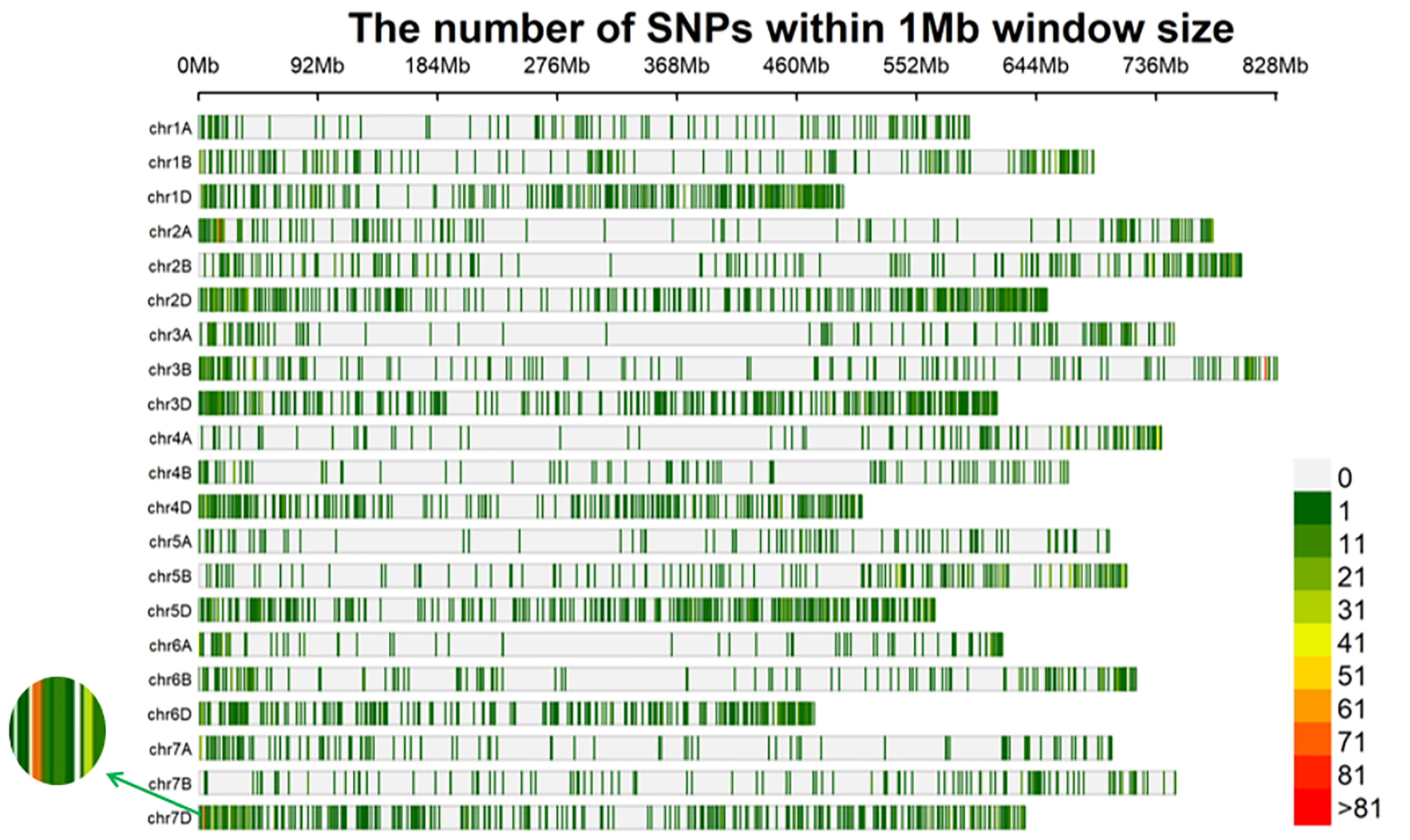 Ijms 24 12845 g005 Ijms 24 12845 g005