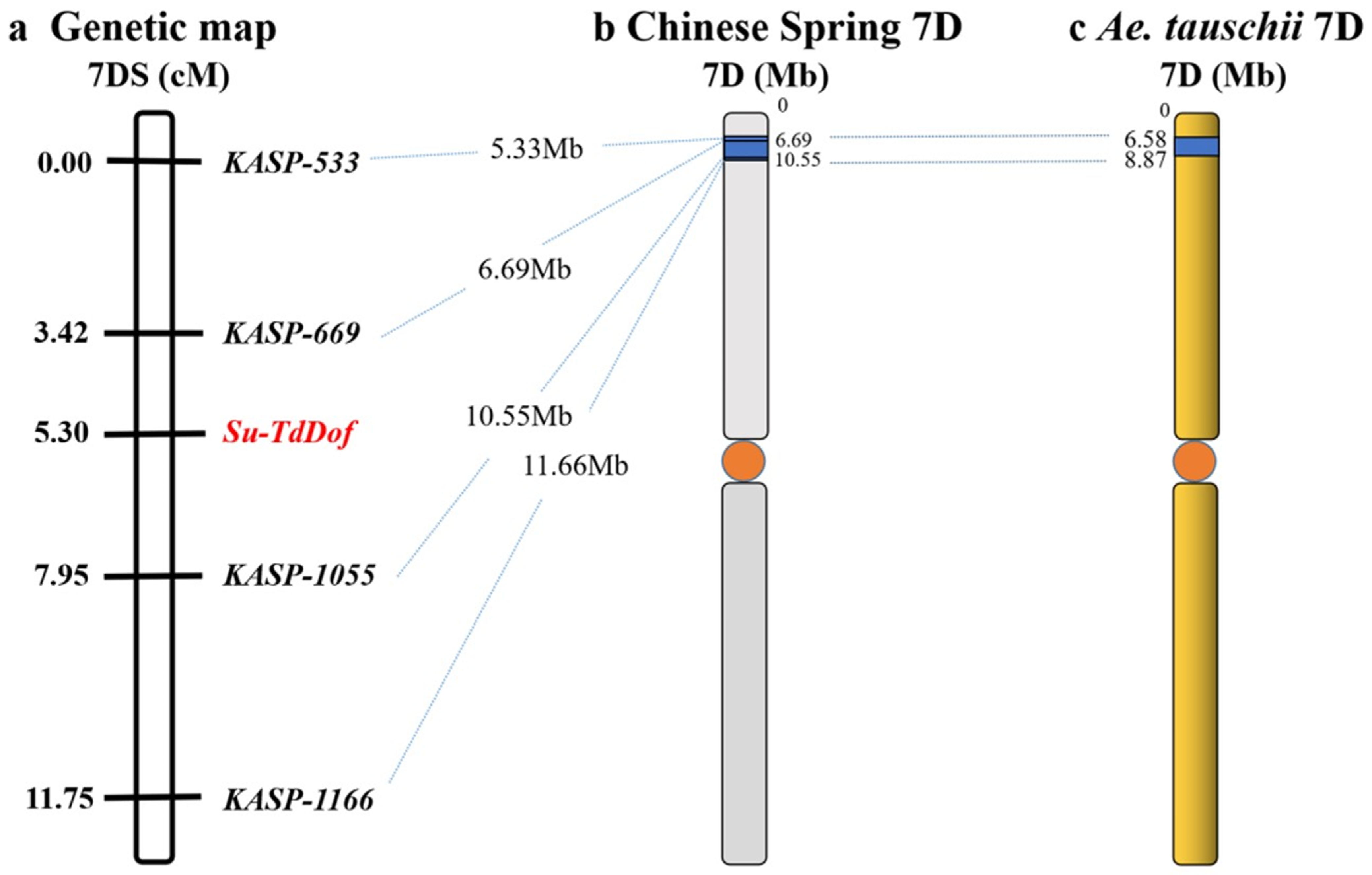 Ijms 24 12845 g006 Ijms 24 12845 g006