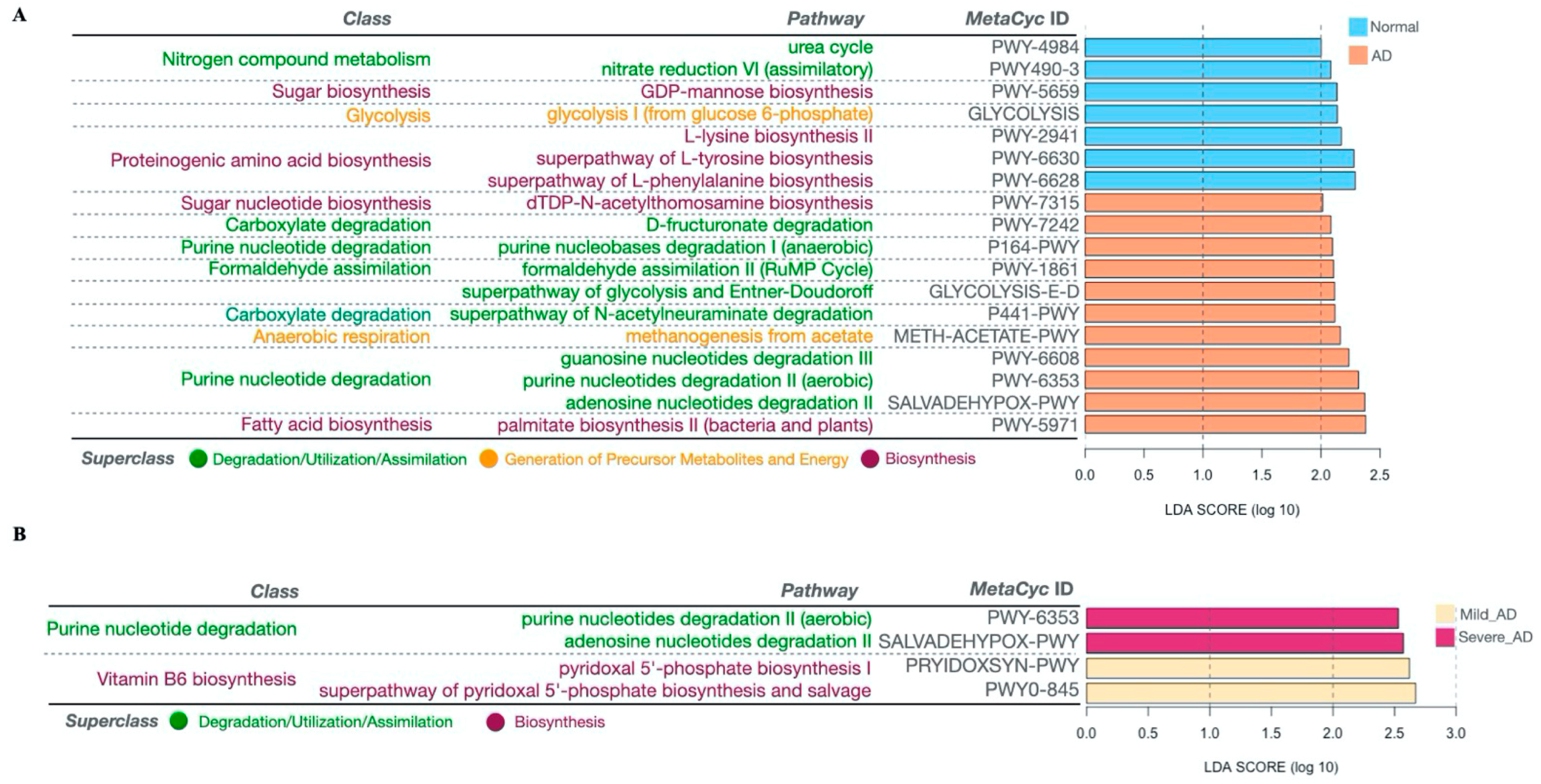 Ijms 24 12856 g005 Ijms 24 12856 g005