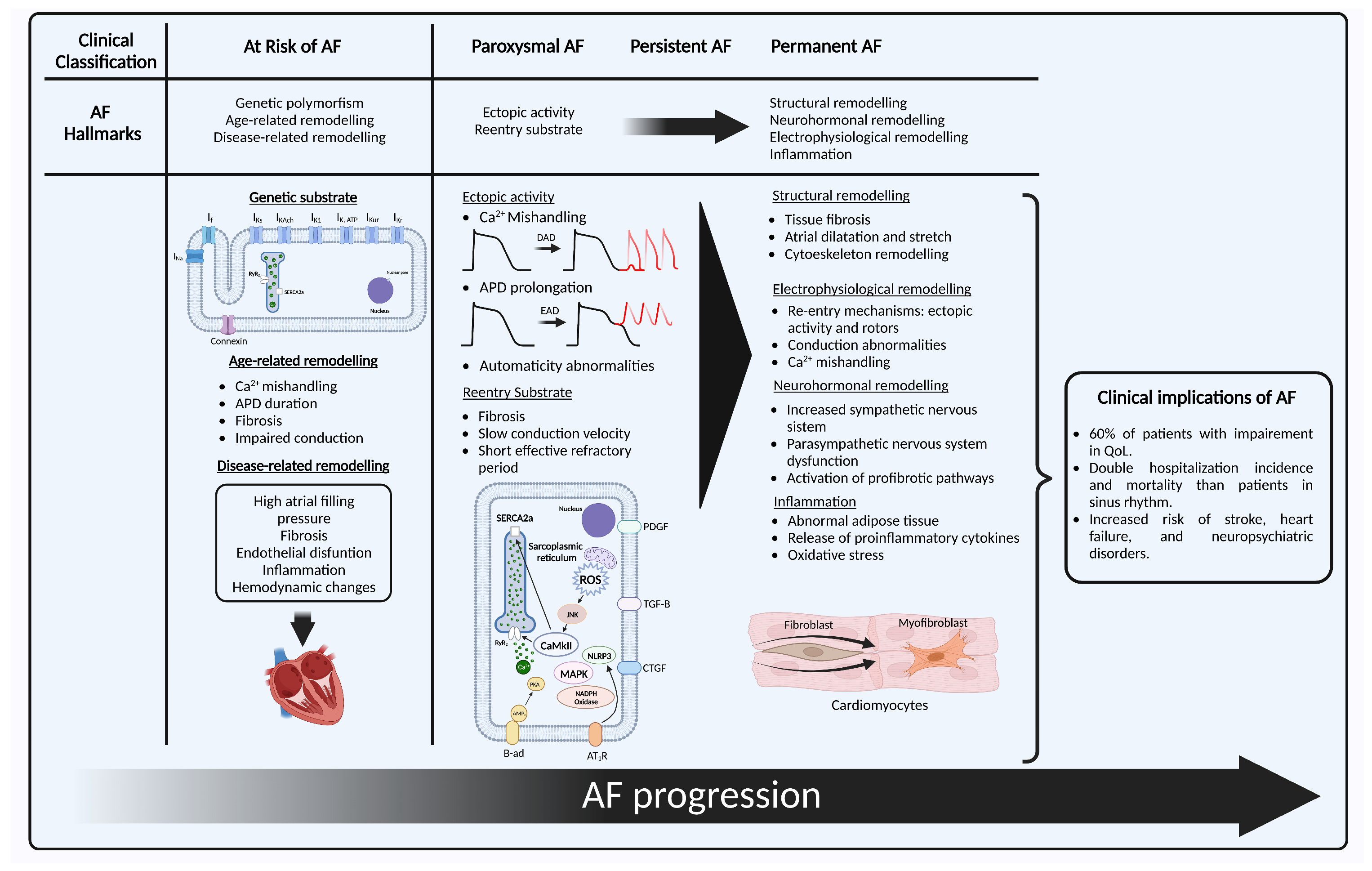 Ijms 24 12859 g001 Ijms 24 12859 g001