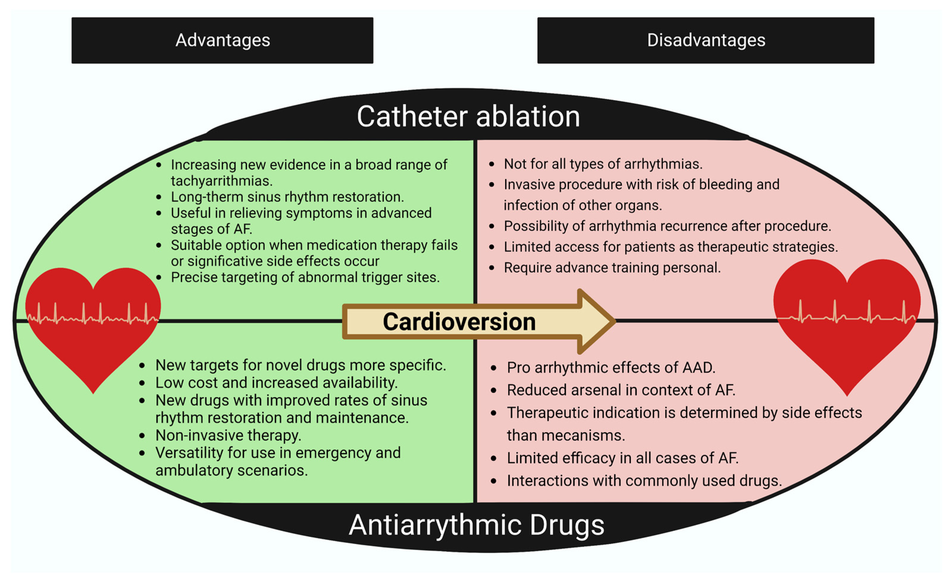 Ijms 24 12859 g002 Ijms 24 12859 g002