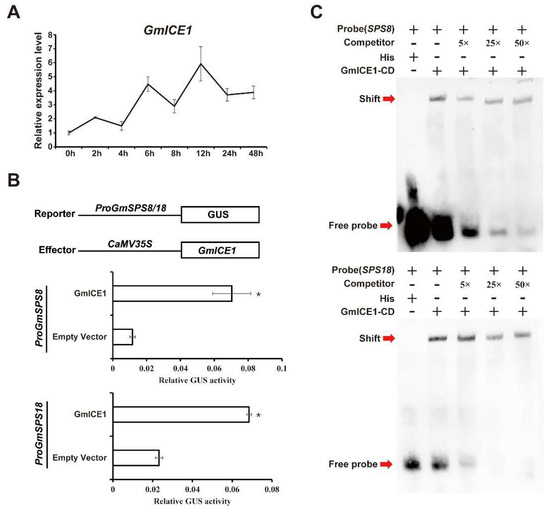Genome-Wide Identification of GmSPS Gene Family in Soybean and ...
