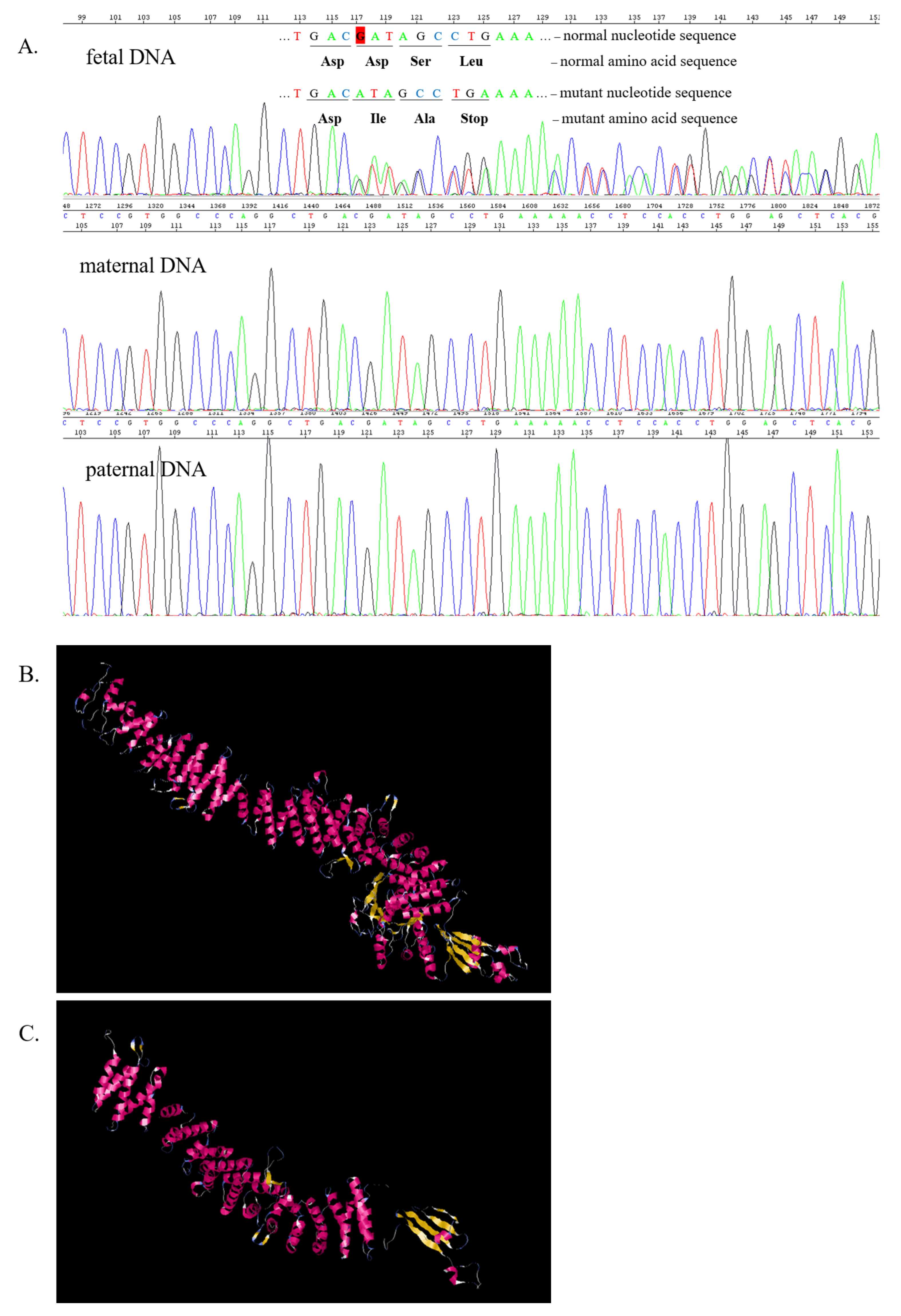 Ijms 24 12886 g002 Ijms 24 12886 g002
