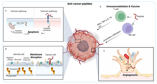 Peptide-Based Agents for Cancer Treatment: Current Applications and ...