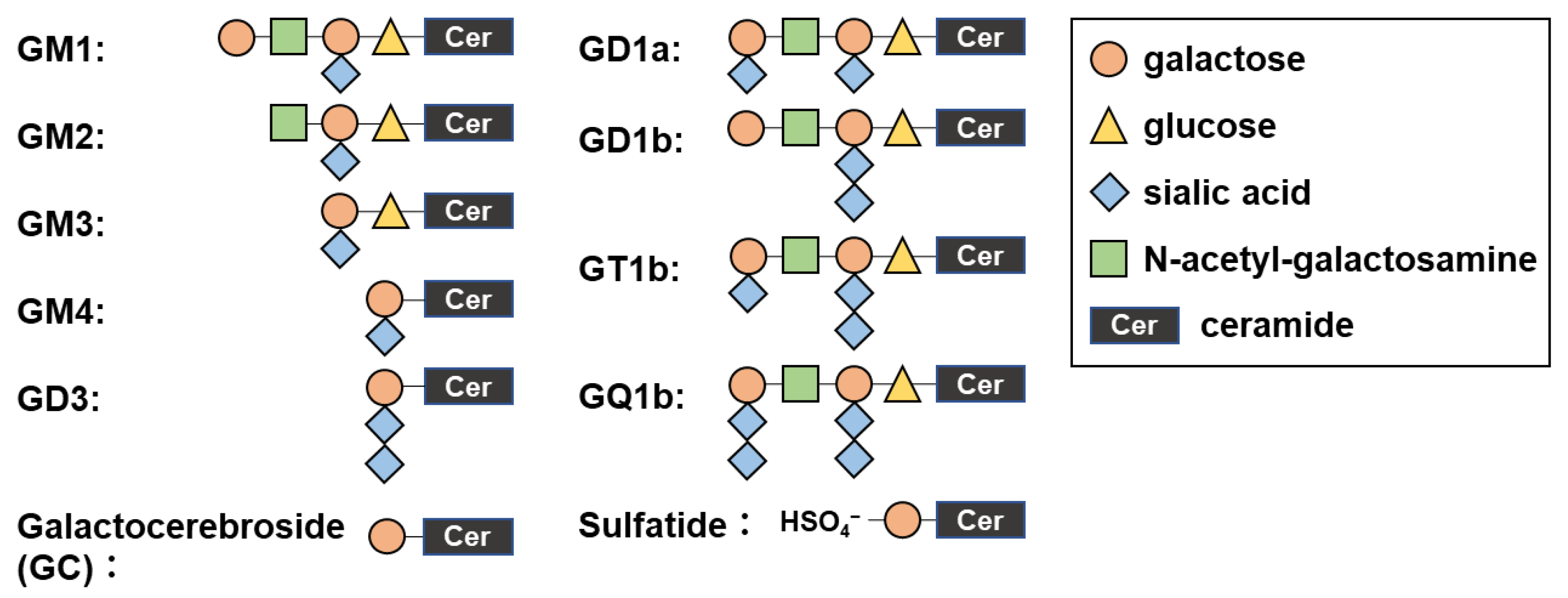 Ijms 24 12937 g001 Ijms 24 12937 g001