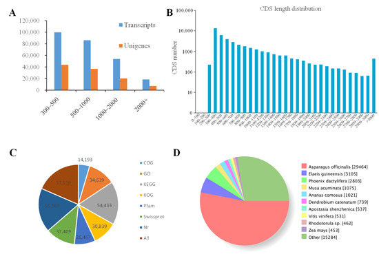 コンティニュアム　15P Adaptive Responses of Large Yellow Croaker Larimichthys