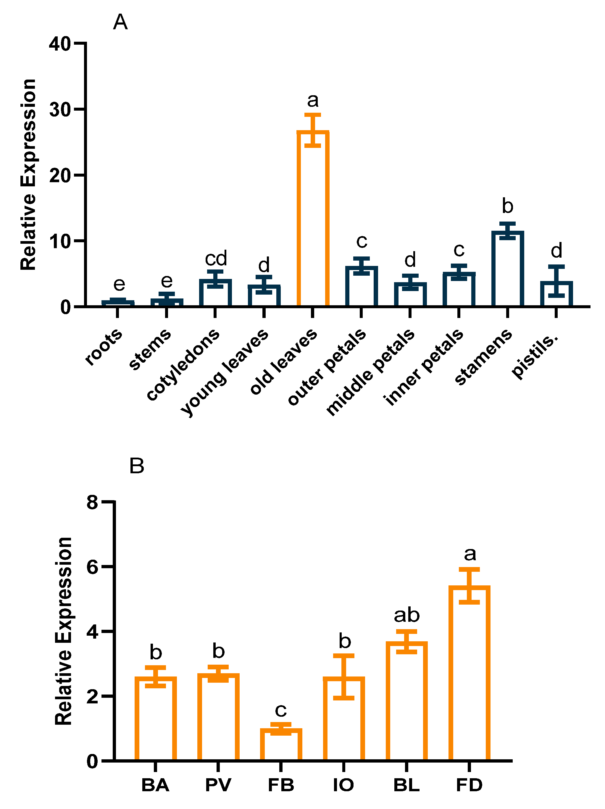 Ijms 24 12945 g003 Ijms 24 12945 g003