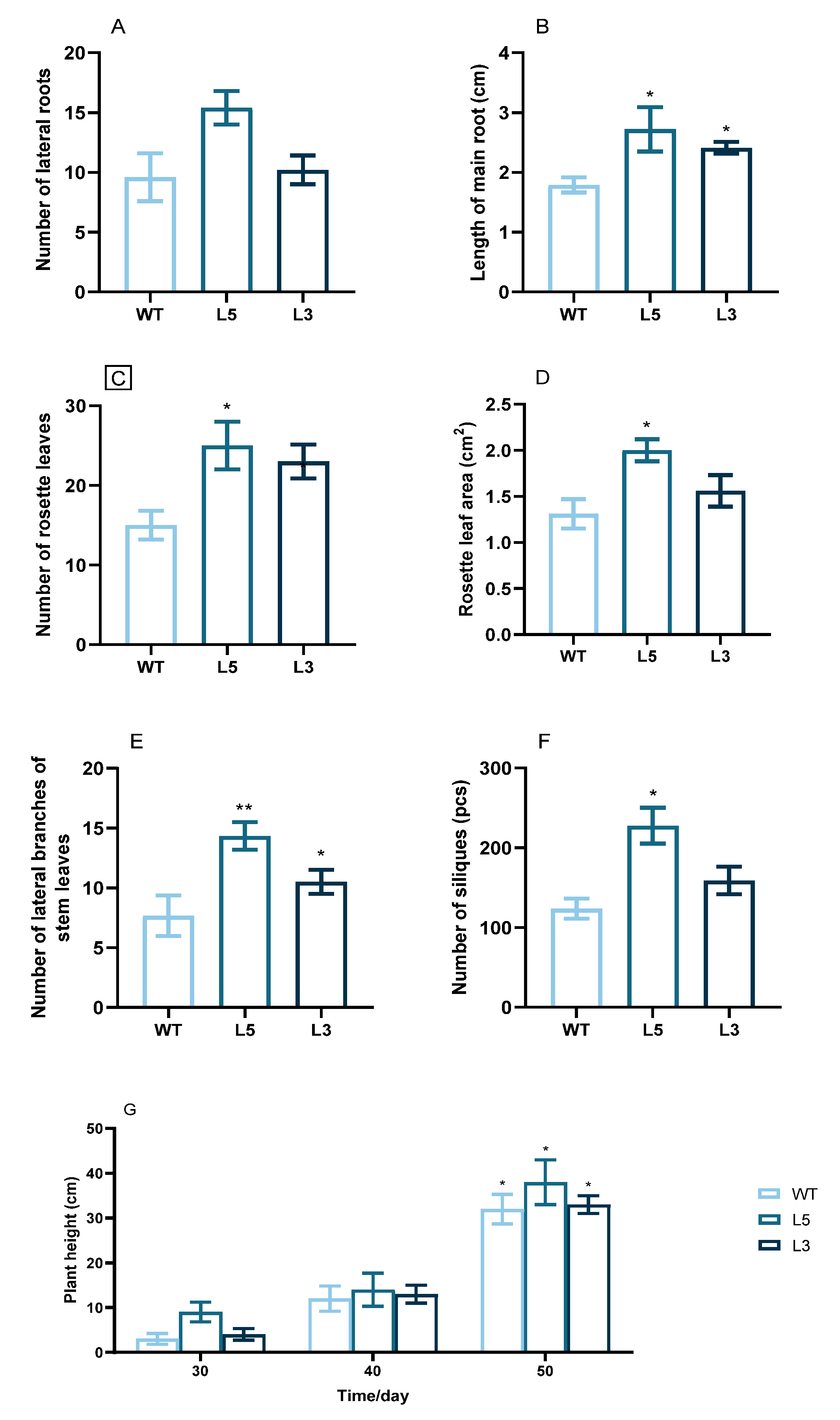 Ijms 24 12945 g006 Ijms 24 12945 g006