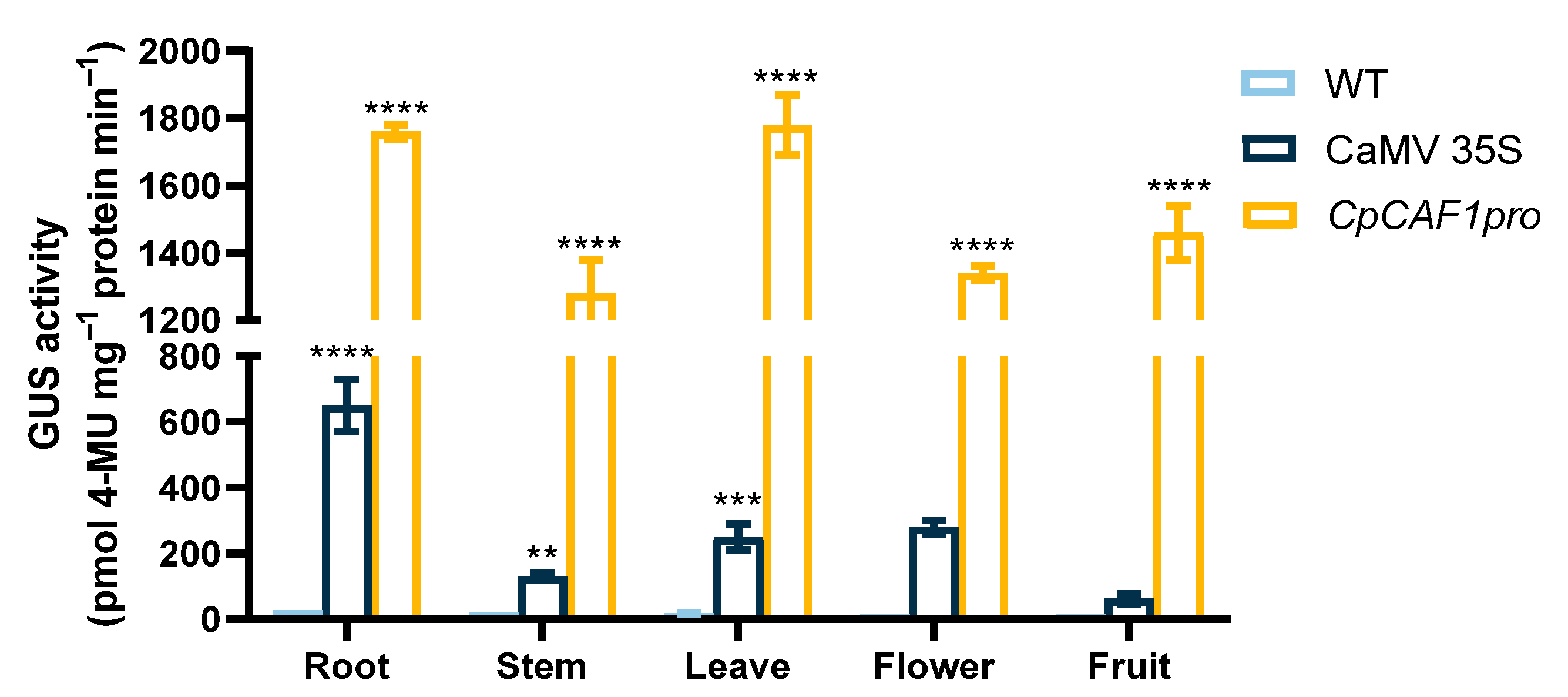 Ijms 24 12945 g012 Ijms 24 12945 g012