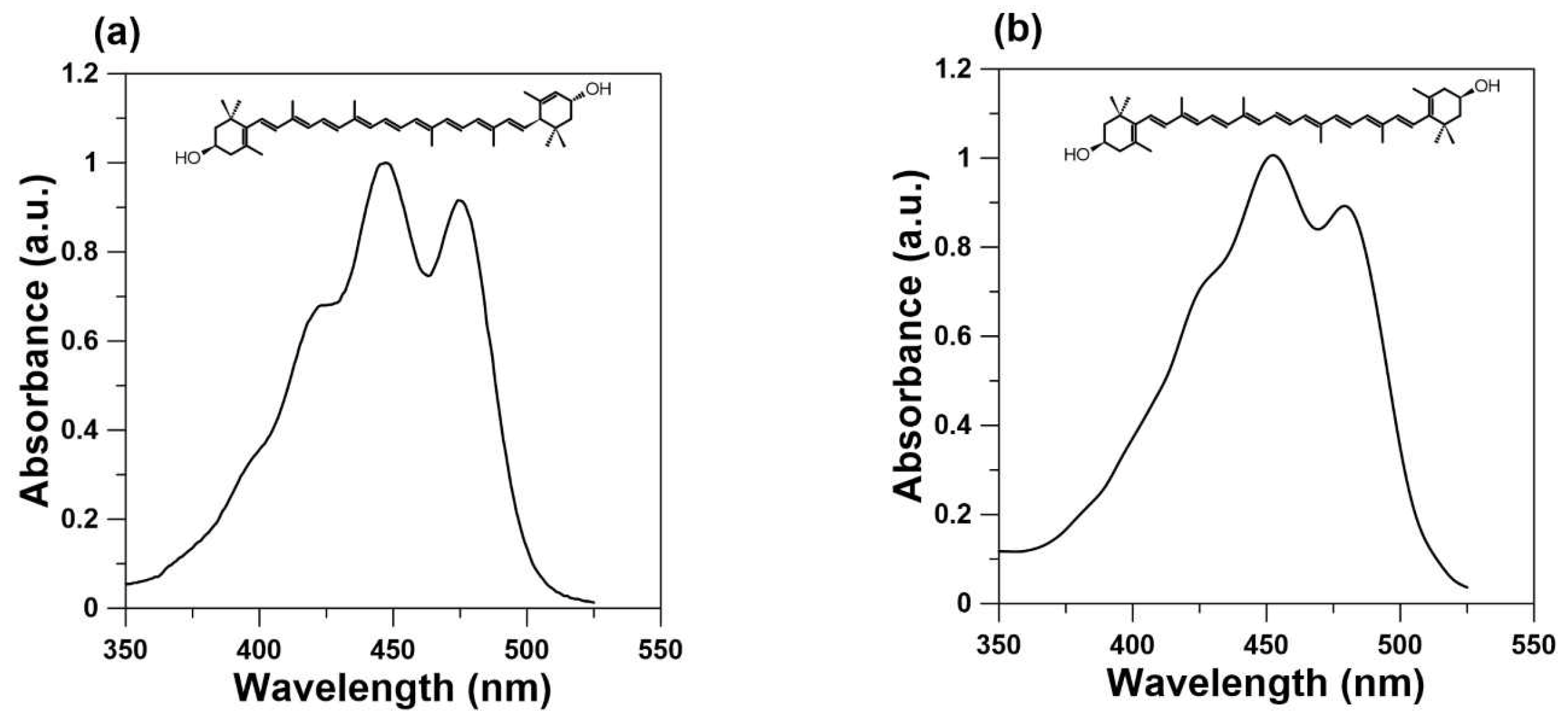 Ijms 24 12948 g001 Ijms 24 12948 g001