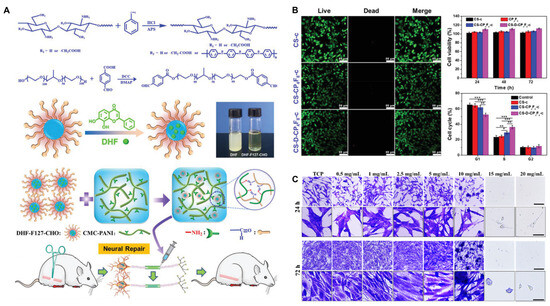 Prospects of Using Chitosan-Based Biopolymers in the Treatment of
