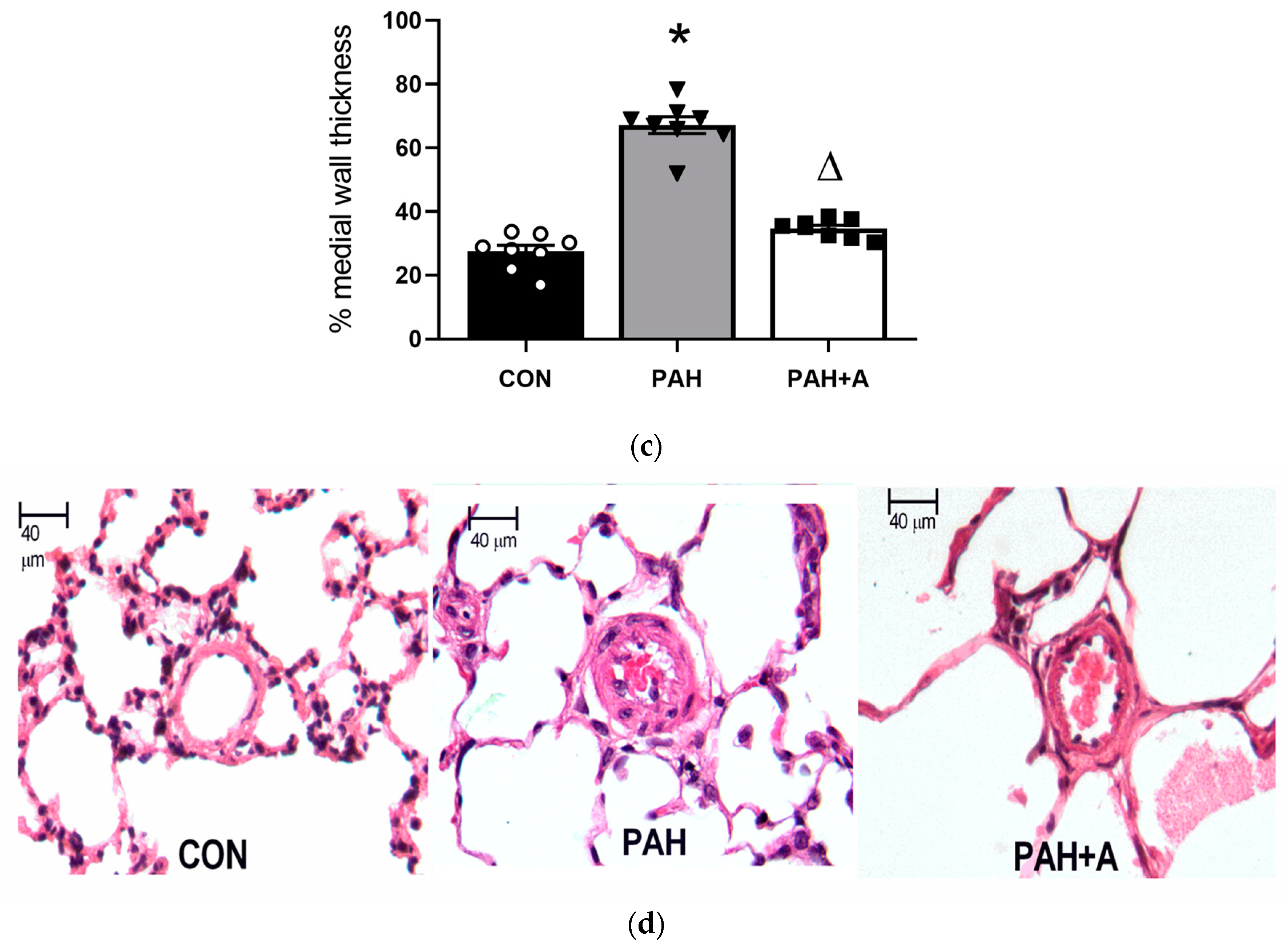 Ijms 24 12959 g001b Ijms 24 12959 g001b
