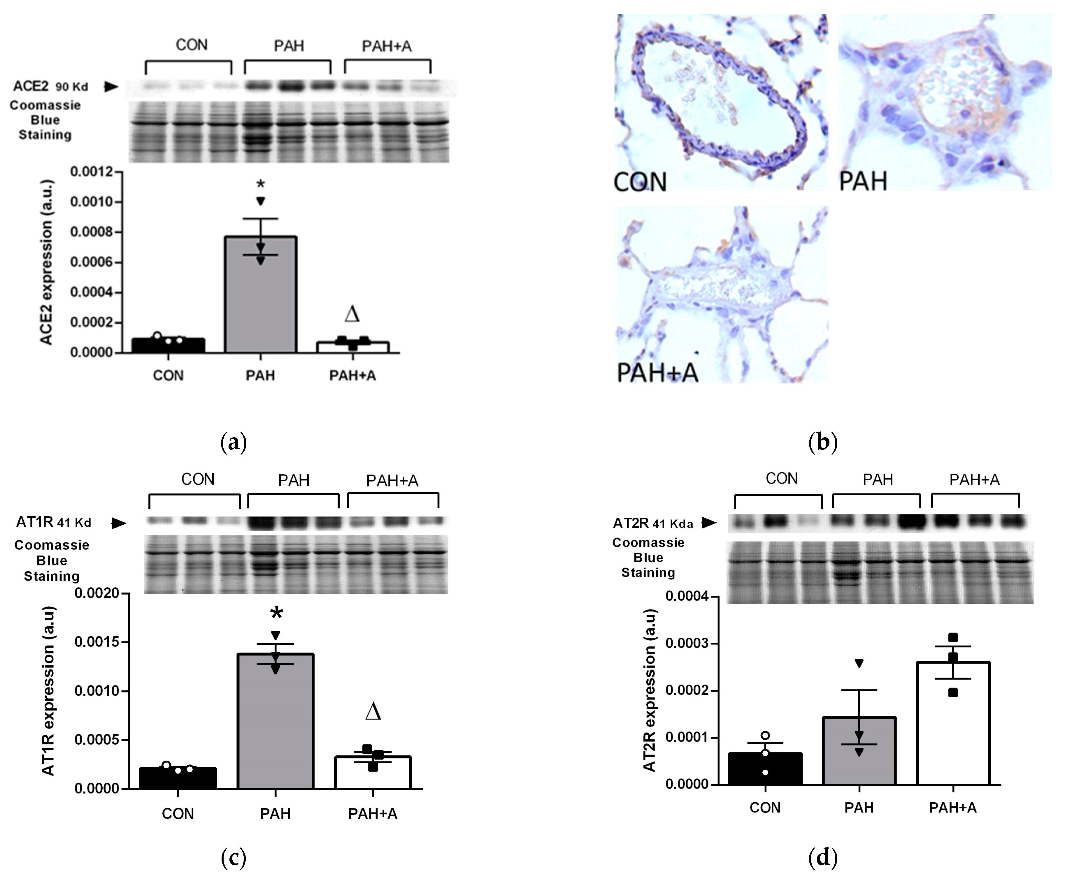 Ijms 24 12959 g004 Ijms 24 12959 g004