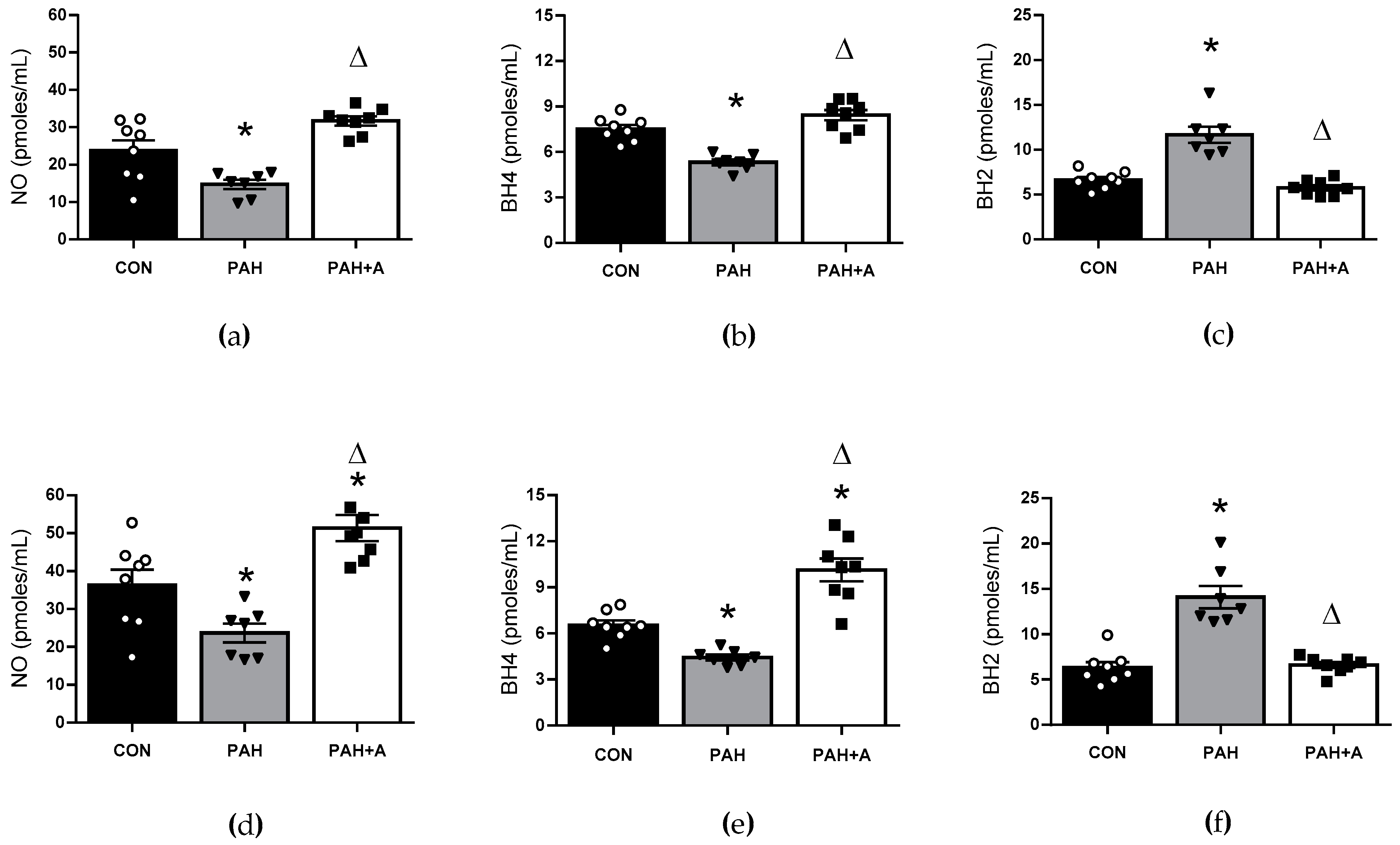 Ijms 24 12959 g005 Ijms 24 12959 g005