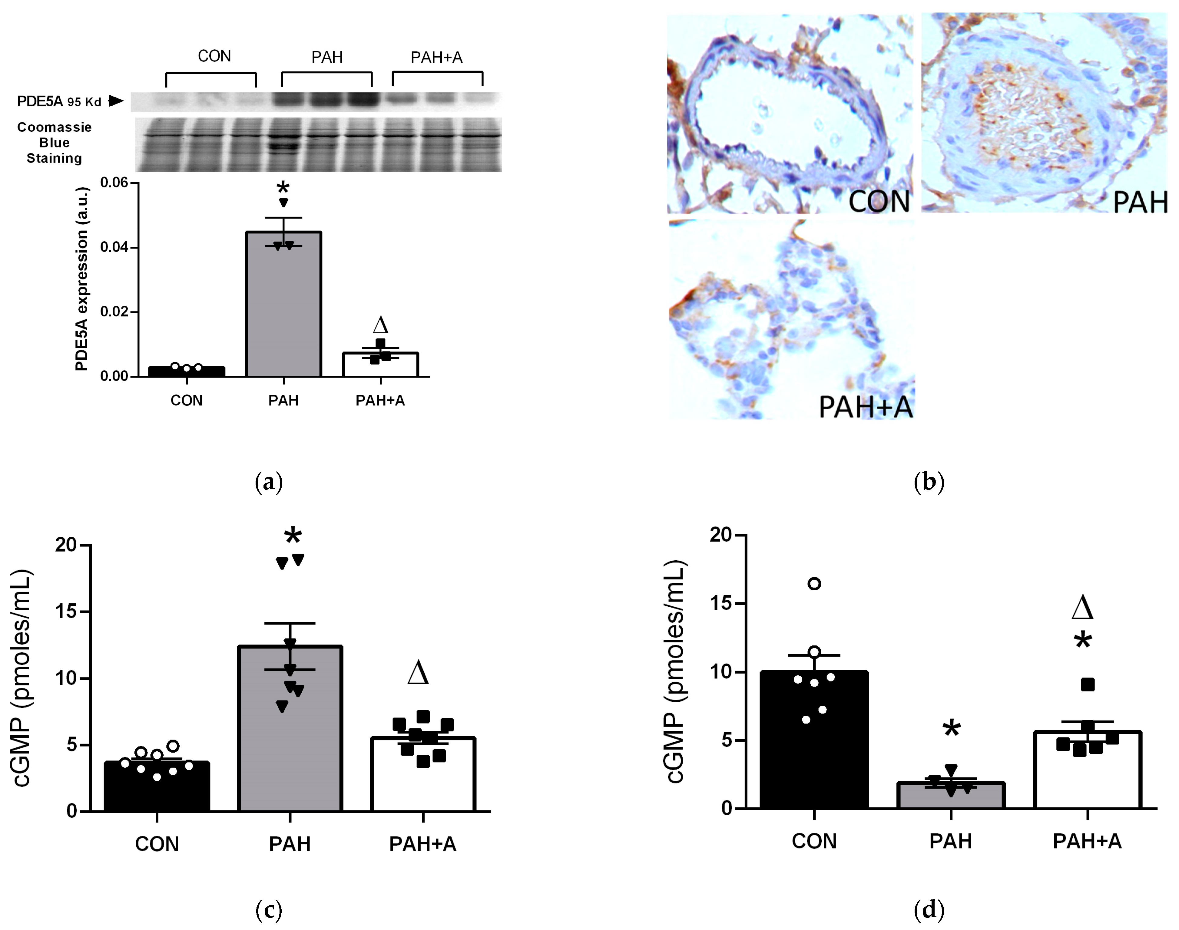 Ijms 24 12959 g006 Ijms 24 12959 g006