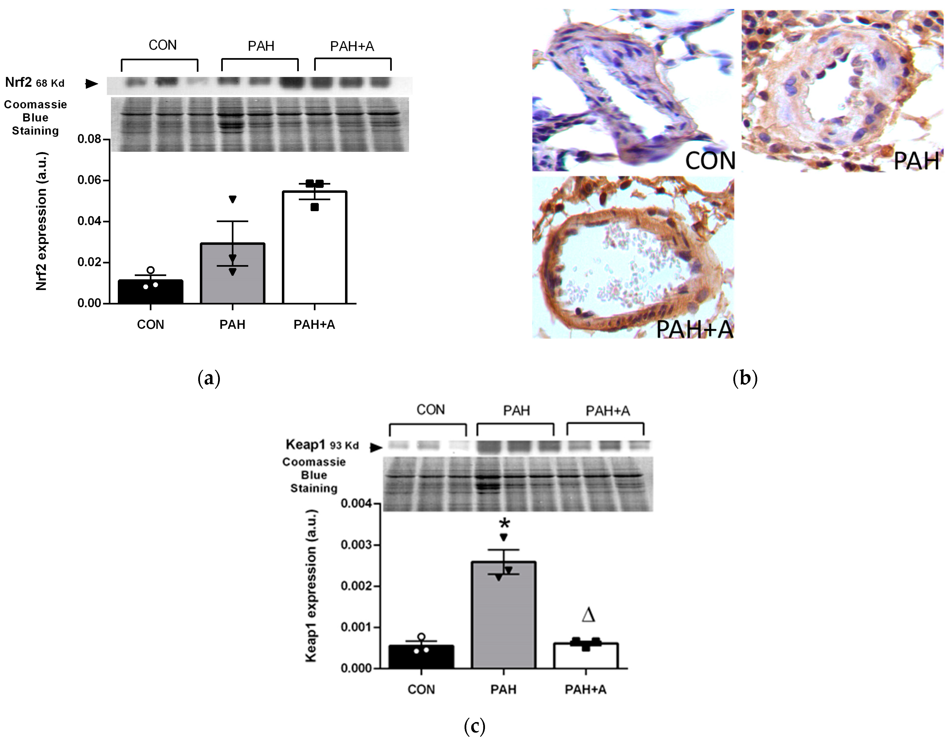 Ijms 24 12959 g008 Ijms 24 12959 g008