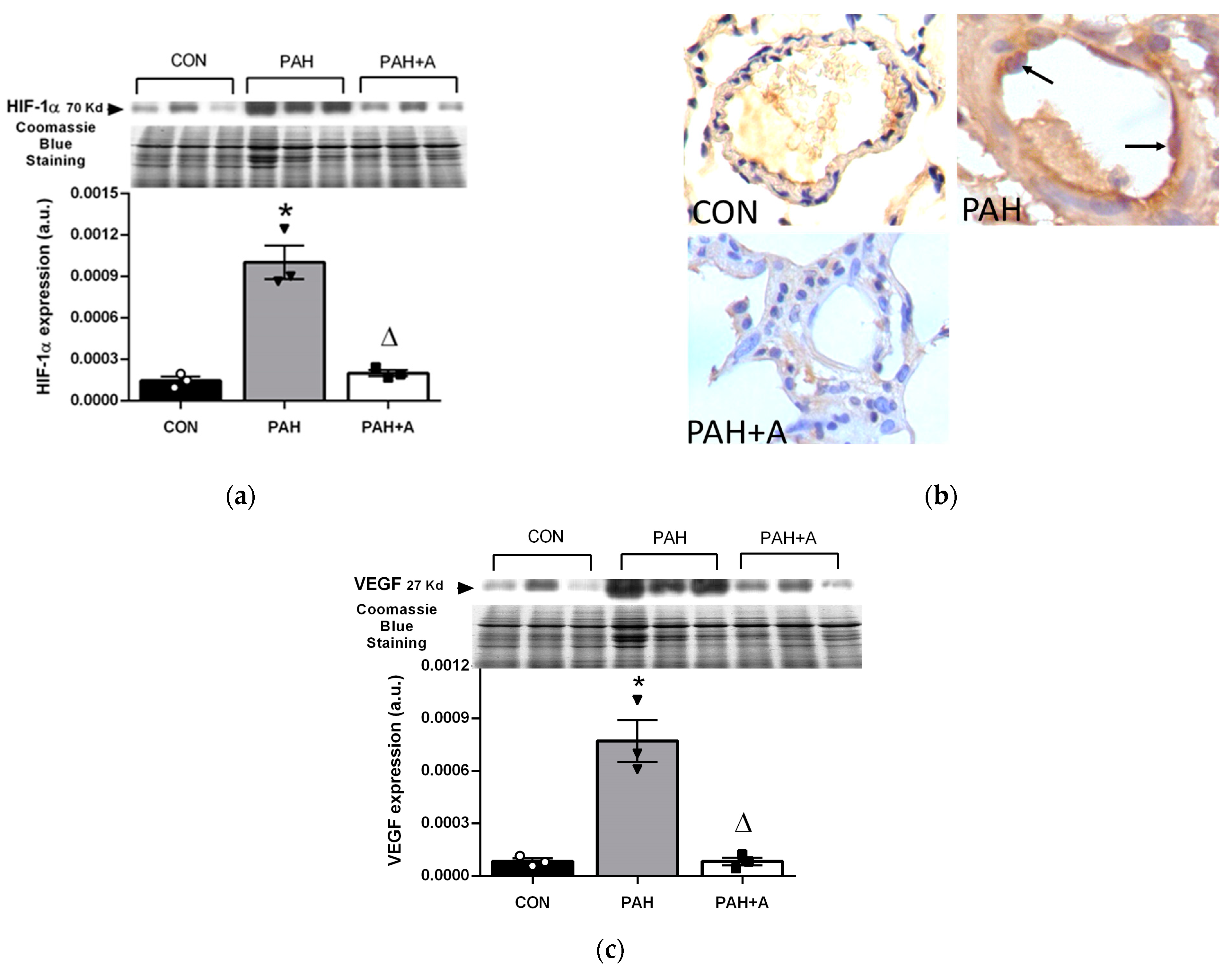Ijms 24 12959 g009 Ijms 24 12959 g009