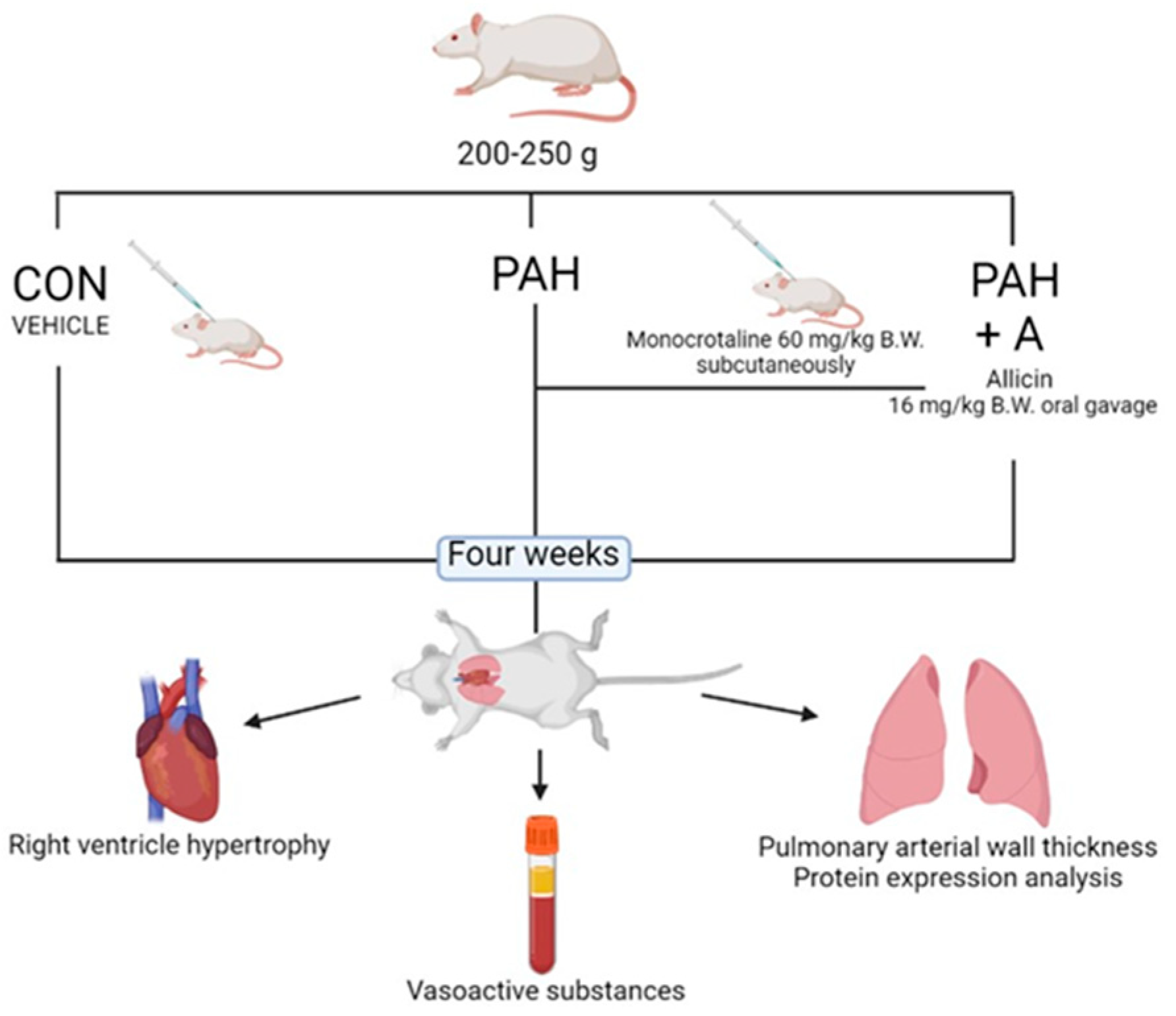 Ijms 24 12959 g010 Ijms 24 12959 g010