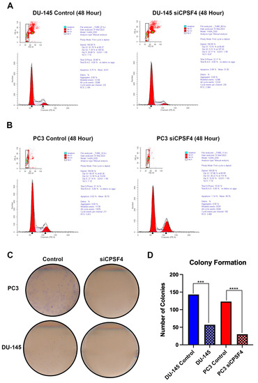Cleavage and Polyadenylation-Specific Factor 4 (CPSF4) Expression Is ...