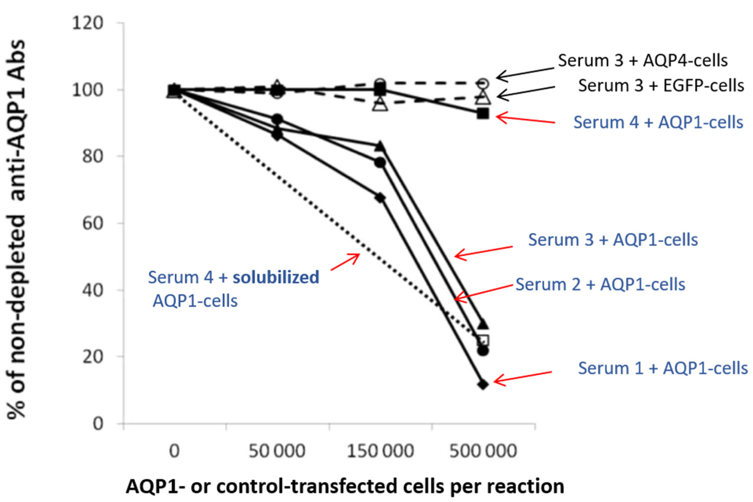 Ijms 24 12982 g005 Ijms 24 12982 g005