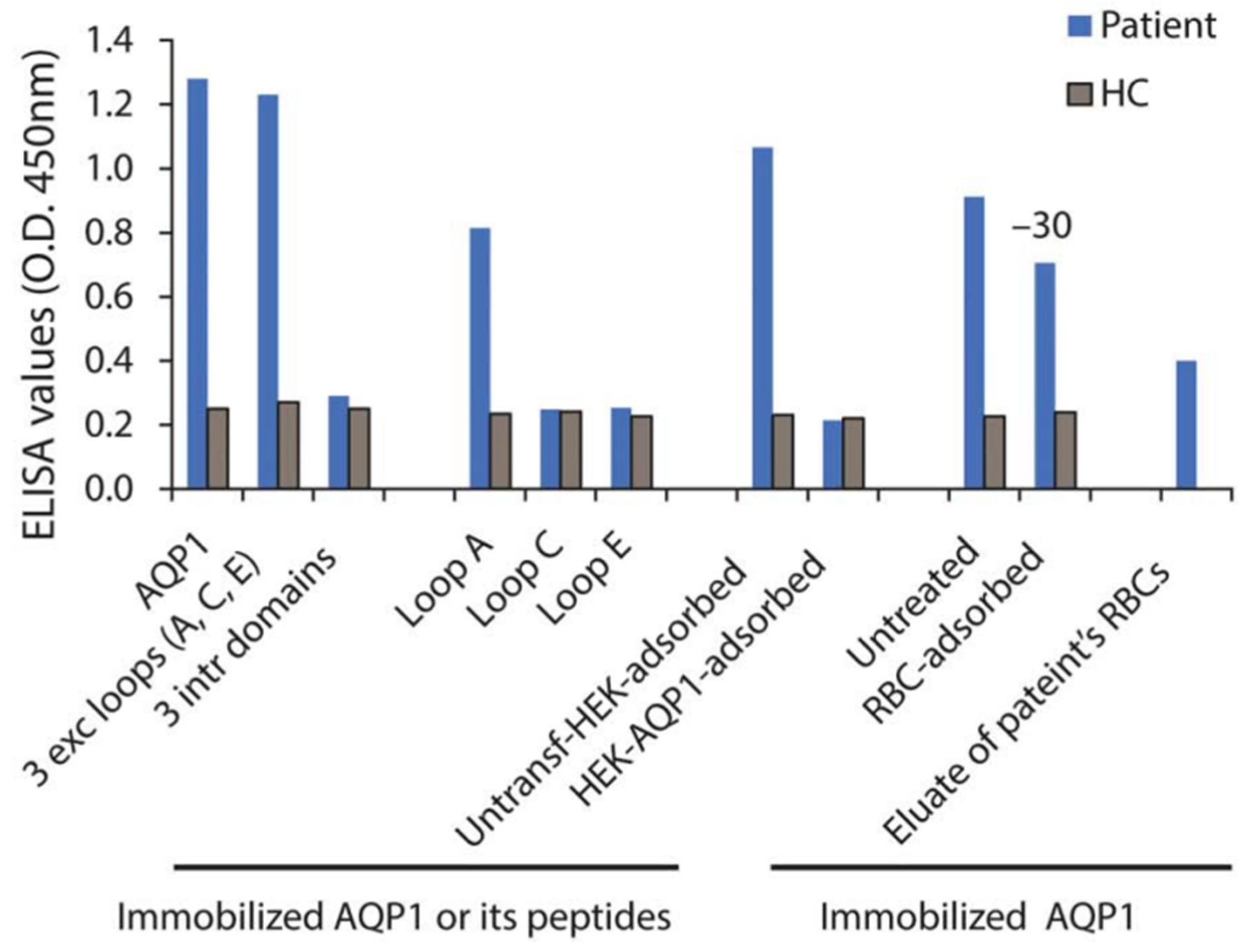 Ijms 24 12982 g007 Ijms 24 12982 g007