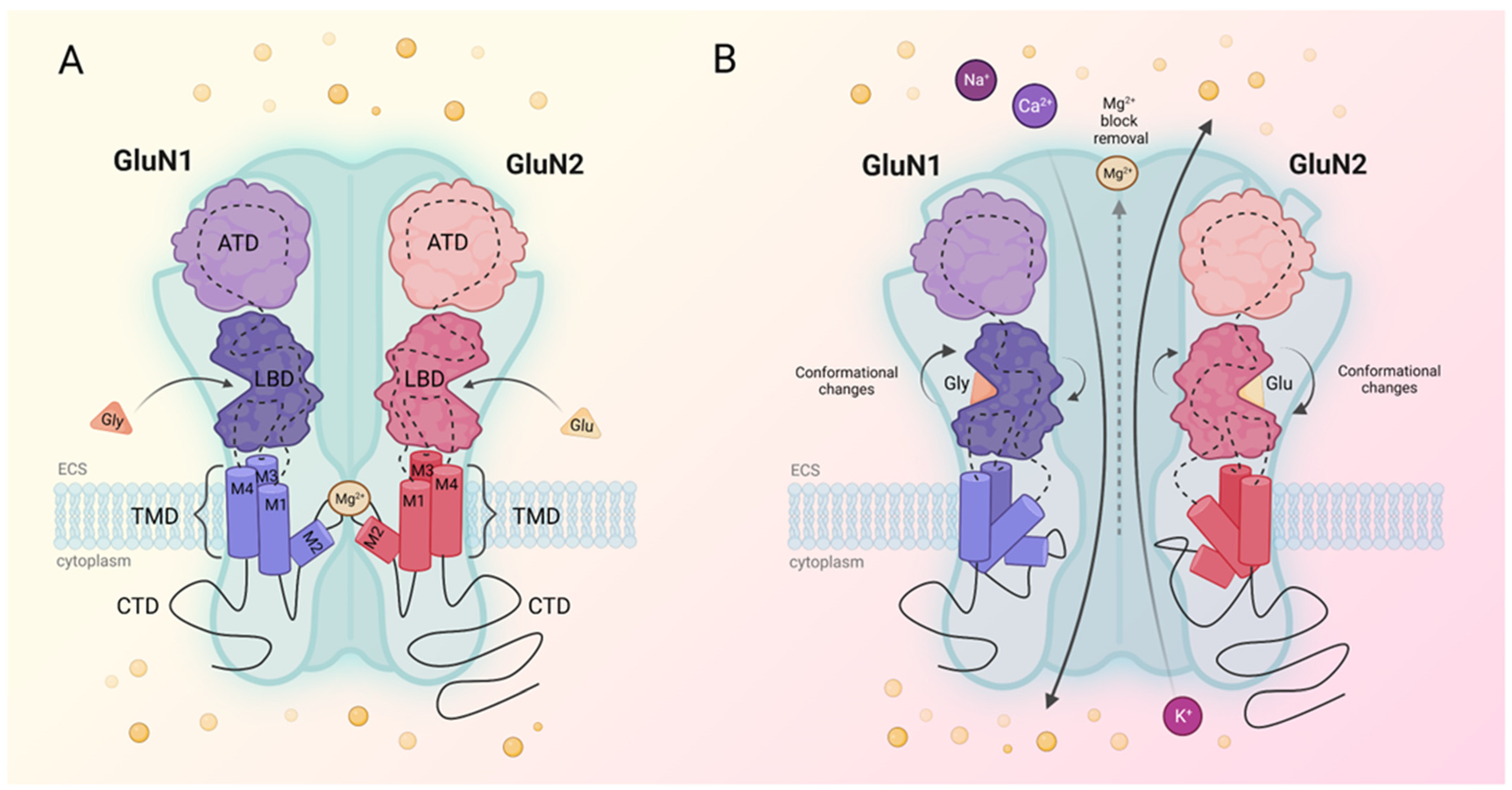 Ijms 24 12983 g001 Ijms 24 12983 g001