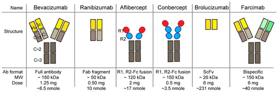 IJMS | Free Full-Text | Twenty Years of Anti-Vascular Endothelial Growth  Factor Therapeutics in Neovascular Age-Related Macular Degeneration  Treatment