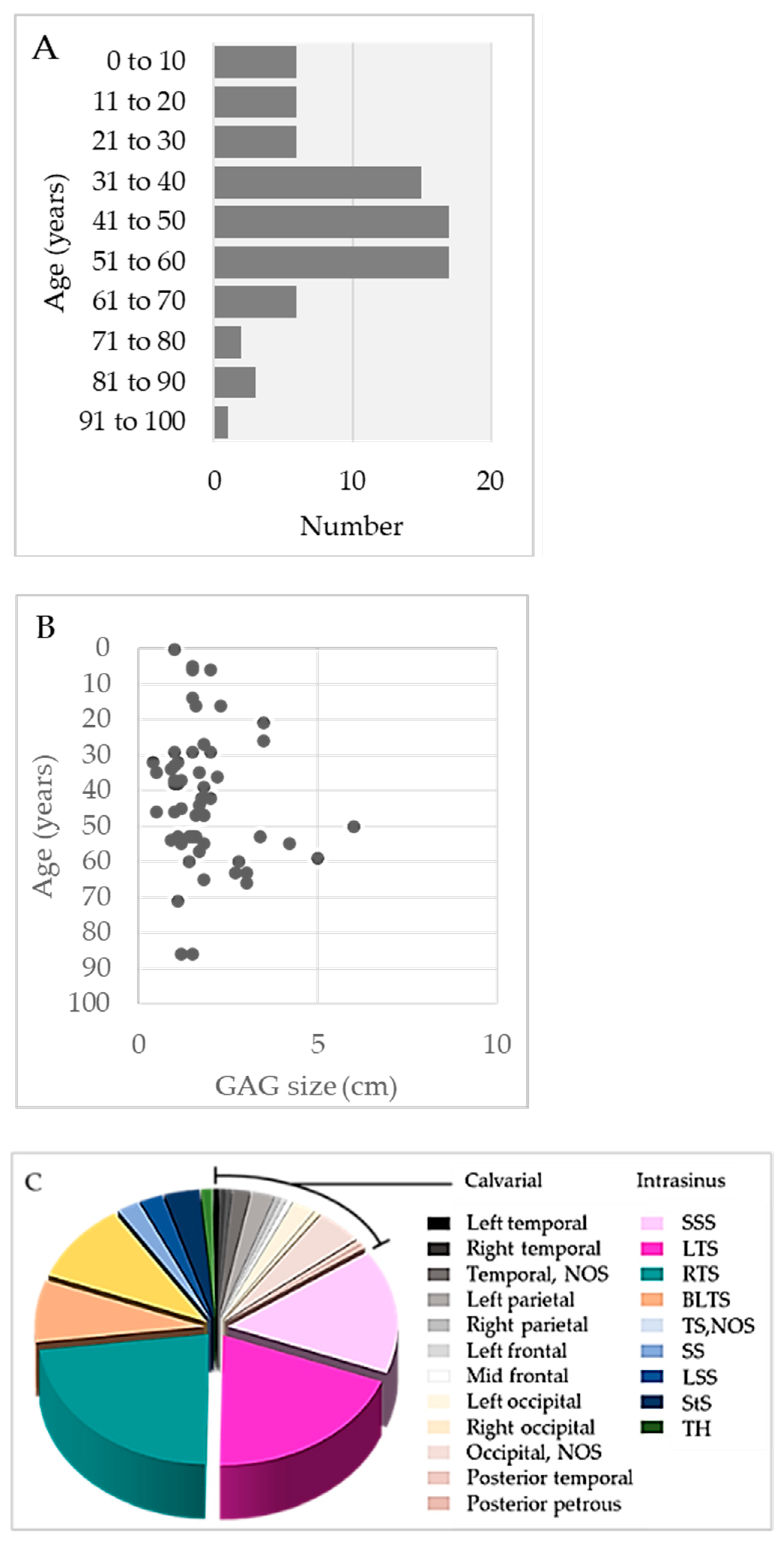 Ijms 24 13014 g002 Ijms 24 13014 g002
