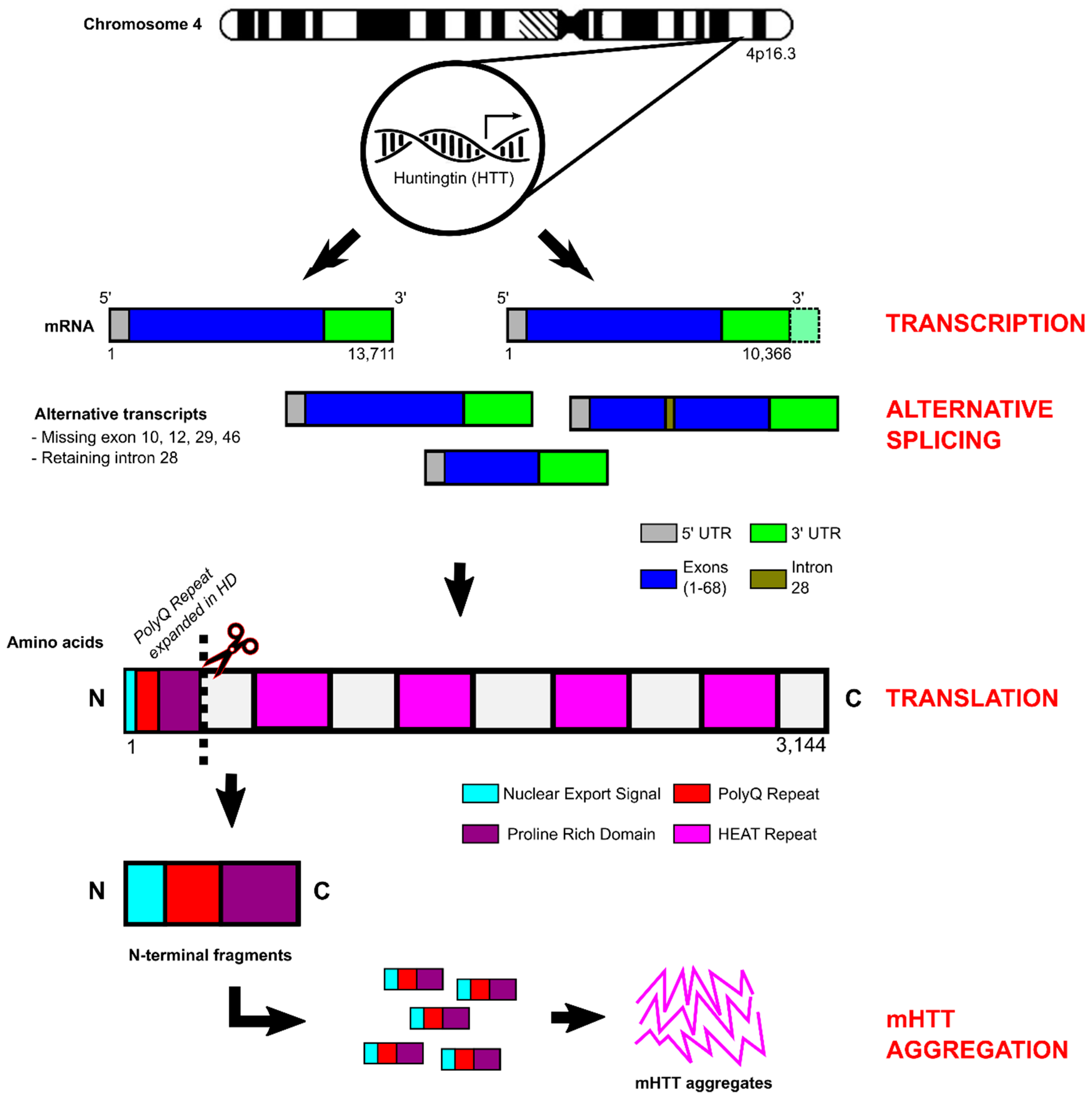 Ijms 24 13021 g002 Ijms 24 13021 g002