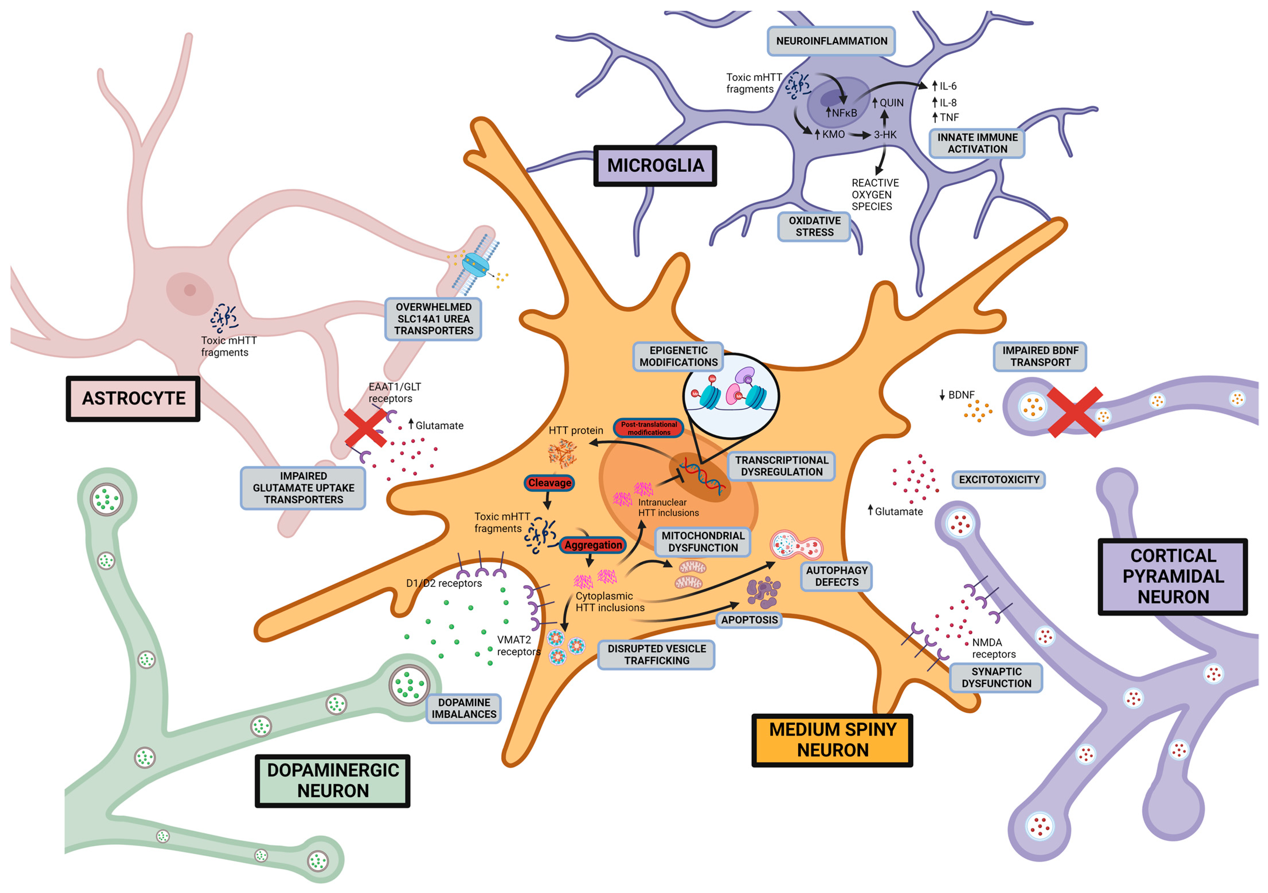Ijms 24 13021 g003 Ijms 24 13021 g003