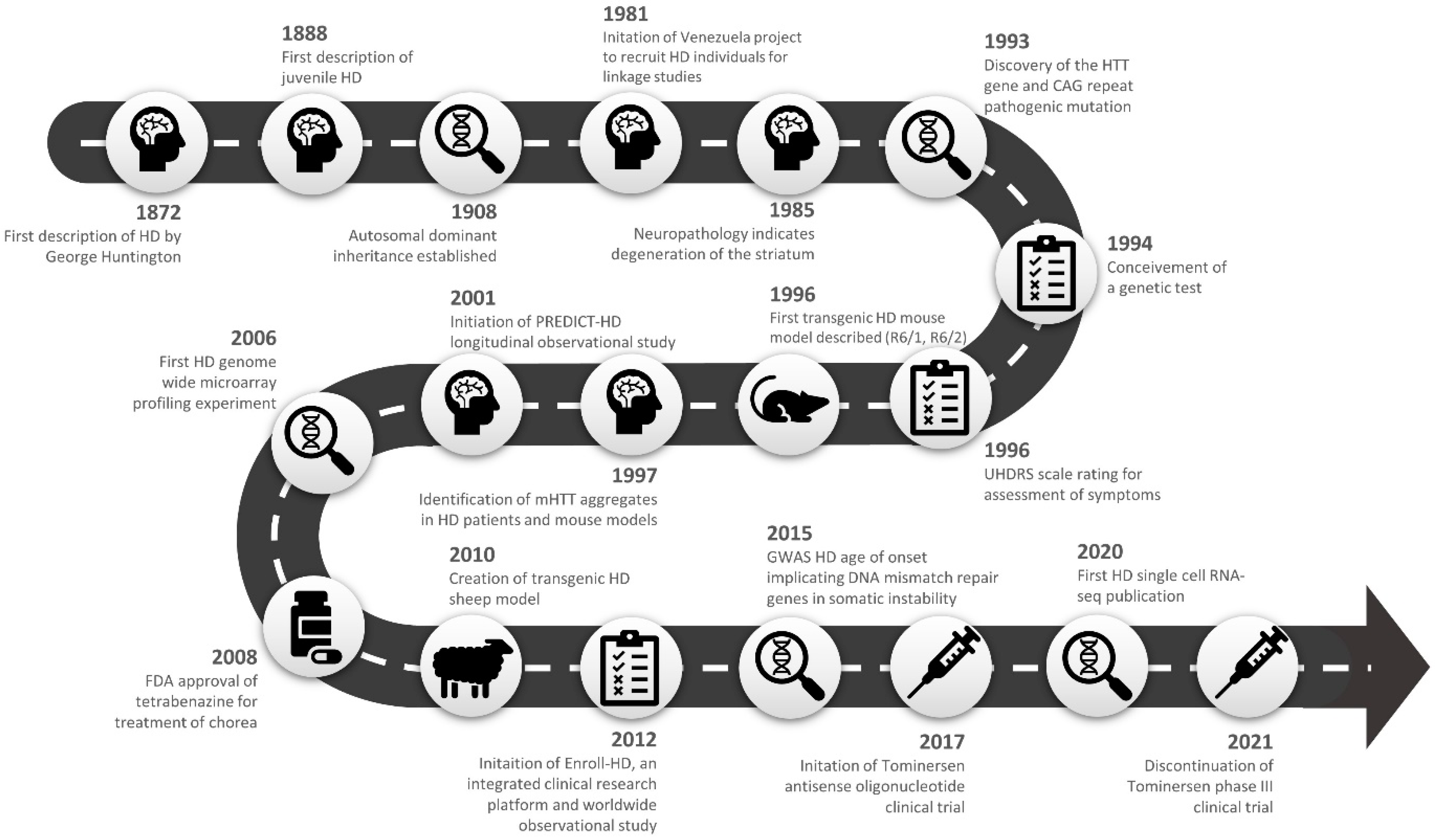 Ijms 24 13021 g004 Ijms 24 13021 g004