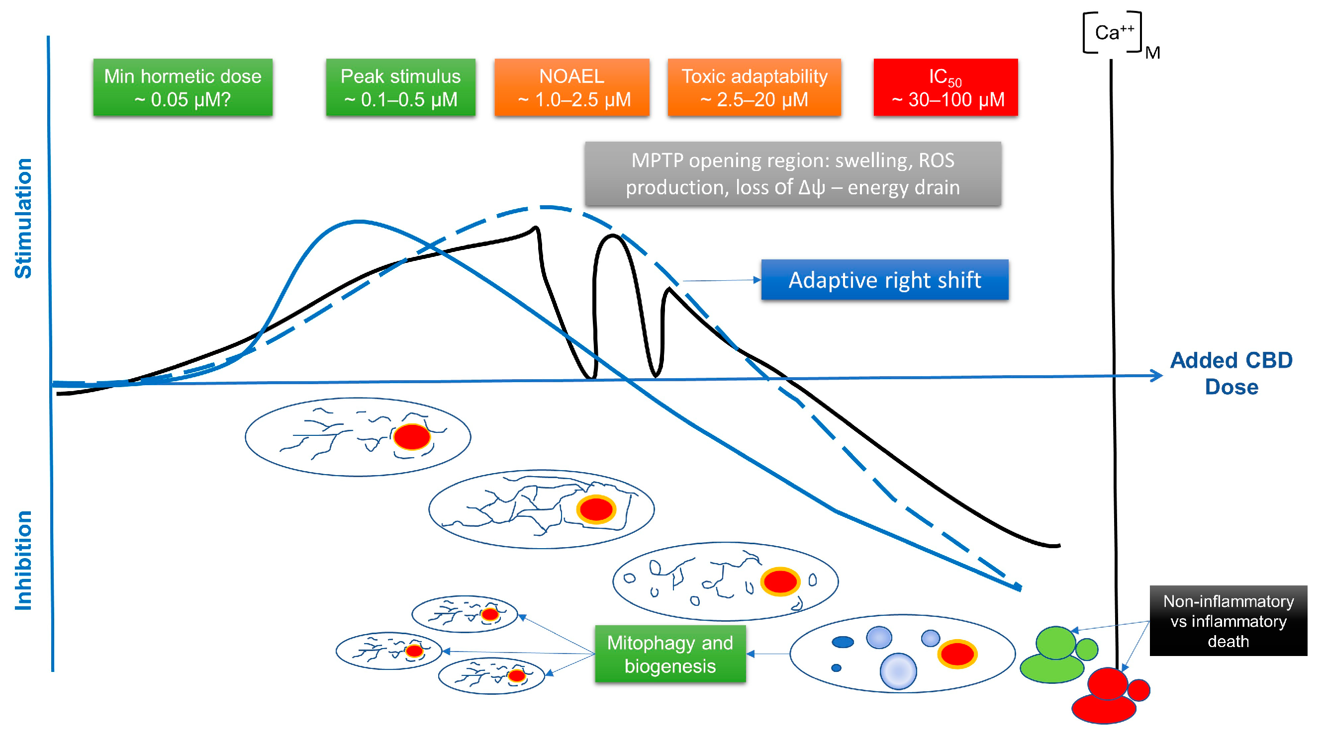 IJMS Free Full-Text Informing the Cannabis Conjecture From Lifeandrsquo;s Beginnings to Mitochondria, Membranes and the Electromeandmdash;A Review