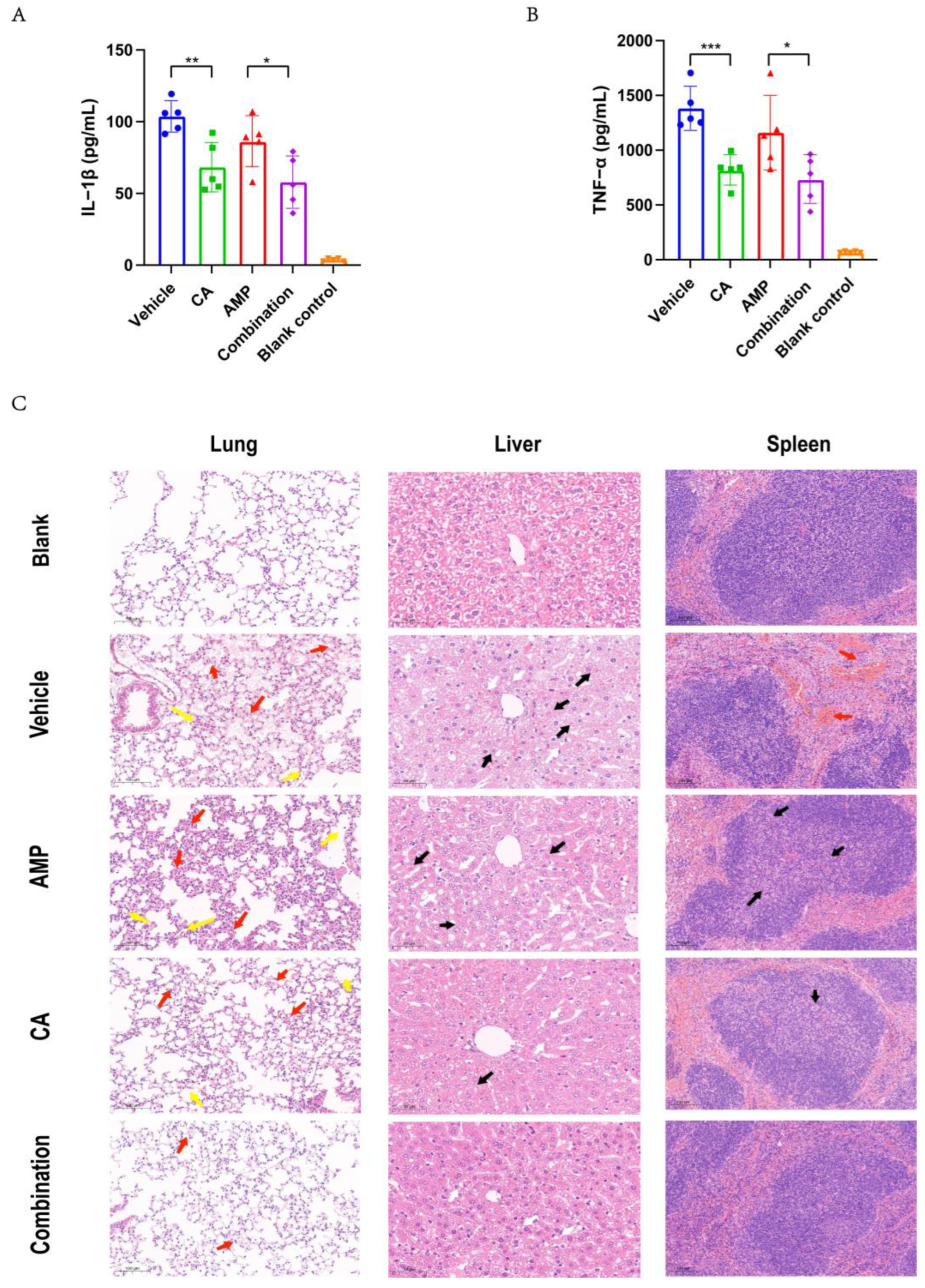 Ijms 24 13074 g006 Ijms 24 13074 g006