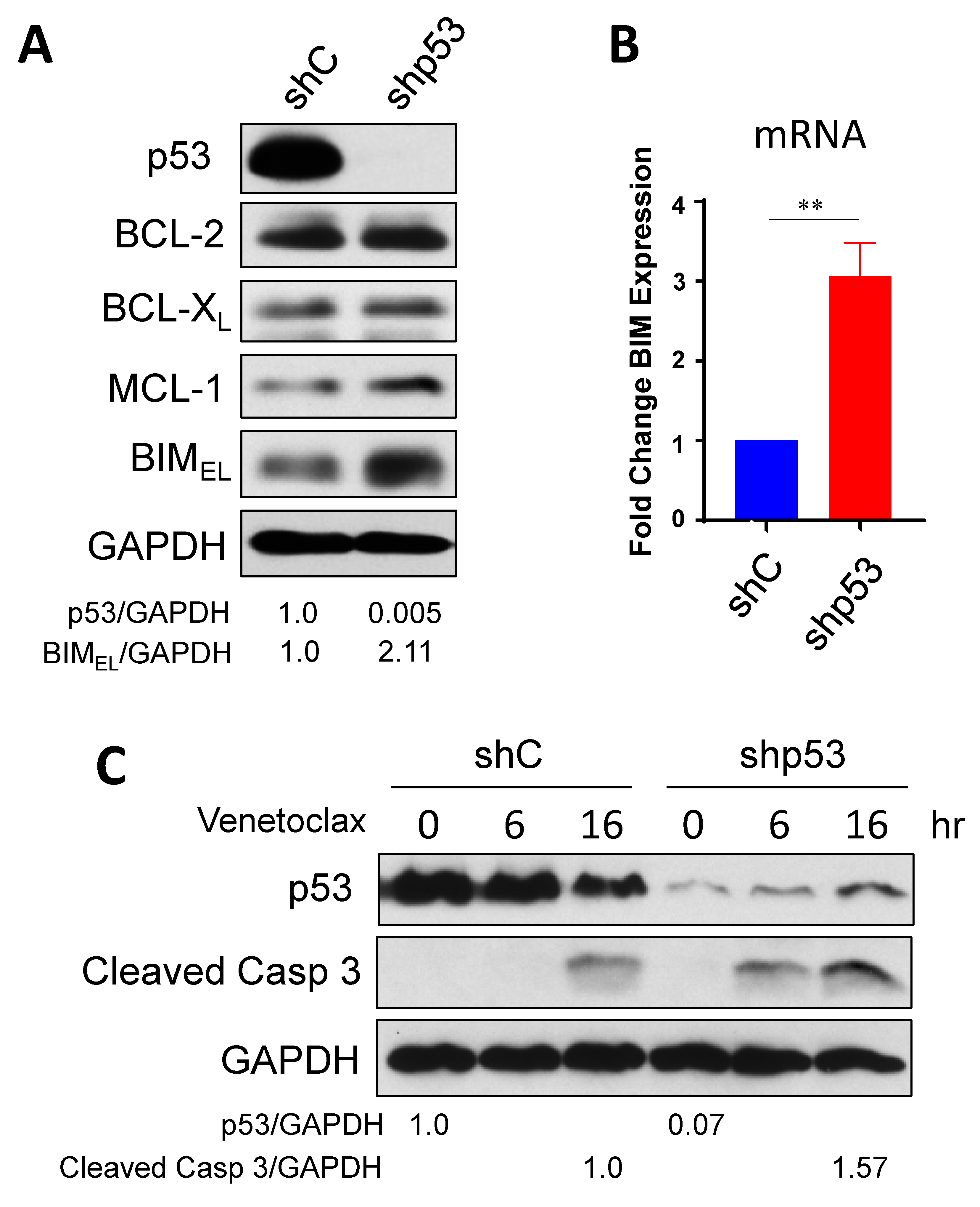 Ijms 24 13082 g001 Ijms 24 13082 g001