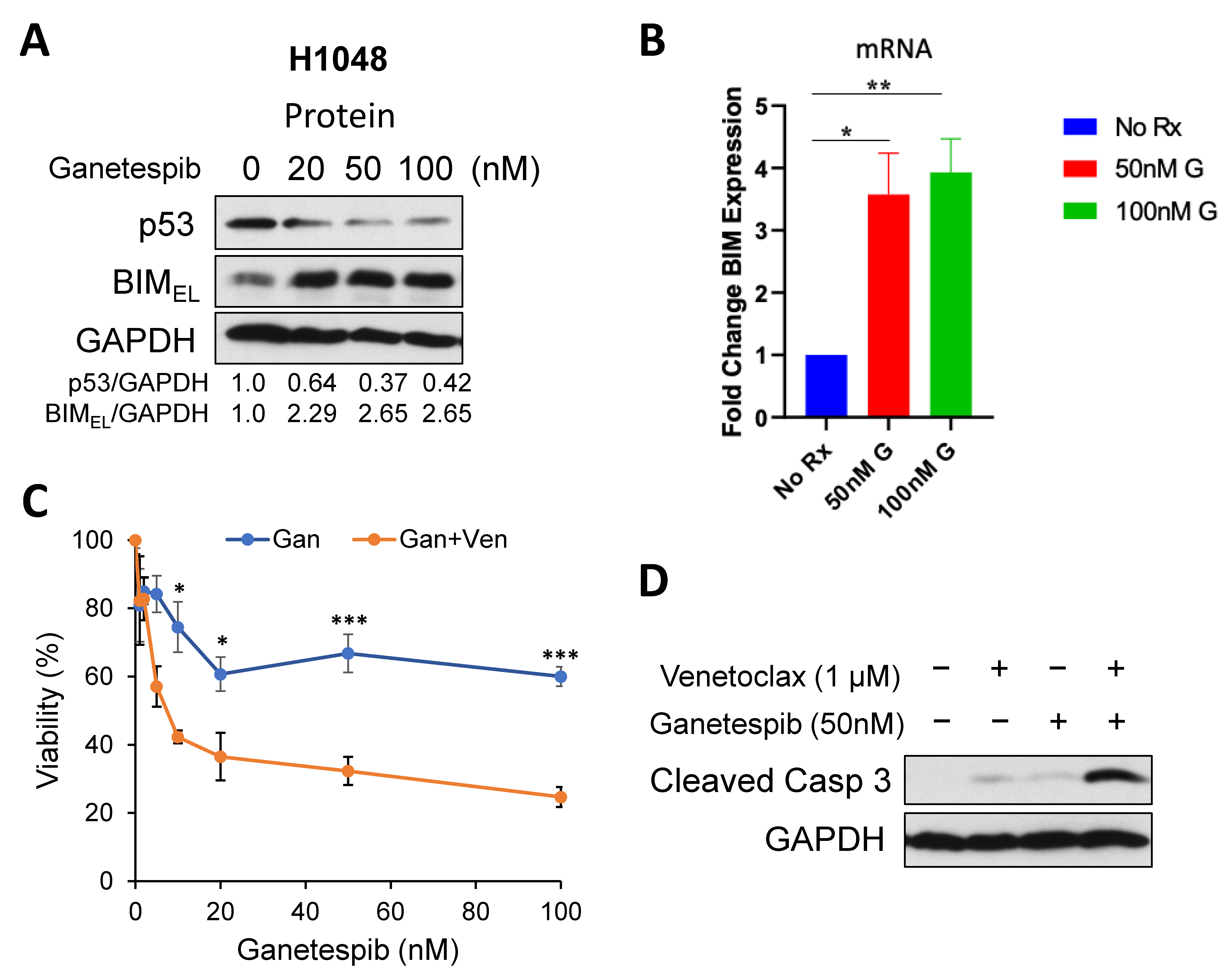 Ijms 24 13082 g002 Ijms 24 13082 g002