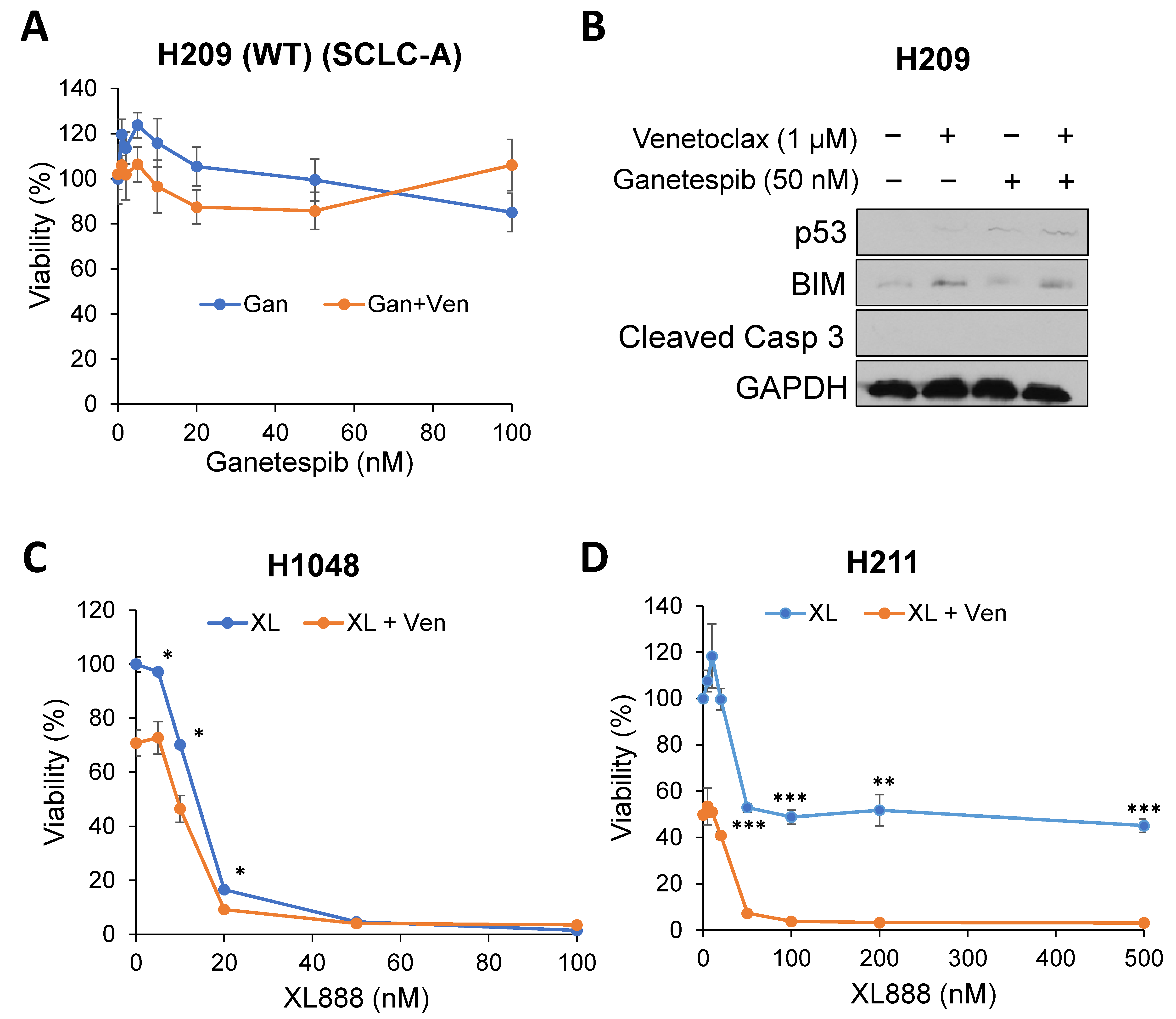Ijms 24 13082 g004 Ijms 24 13082 g004