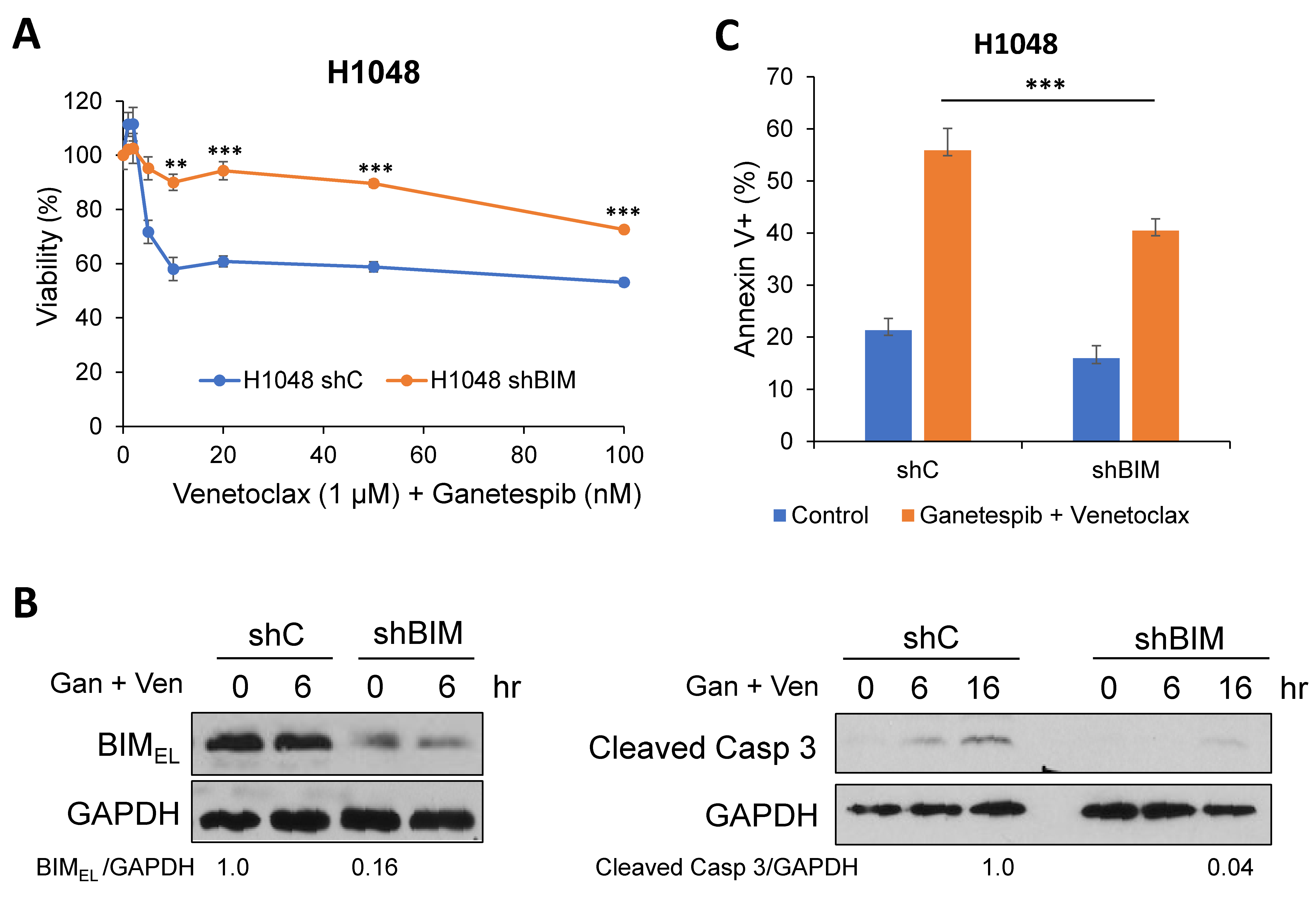 Ijms 24 13082 g005 Ijms 24 13082 g005