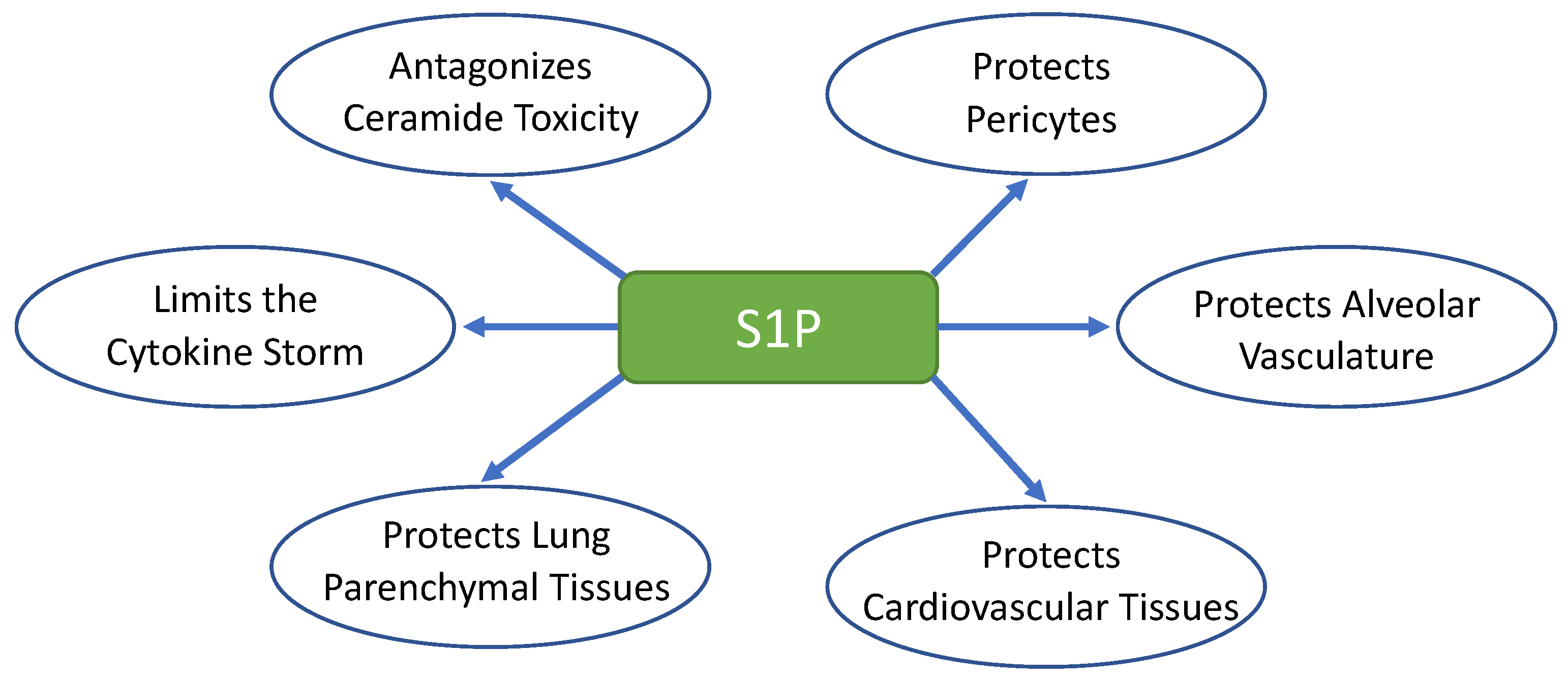 Ijms 24 13088 g001 Ijms 24 13088 g001