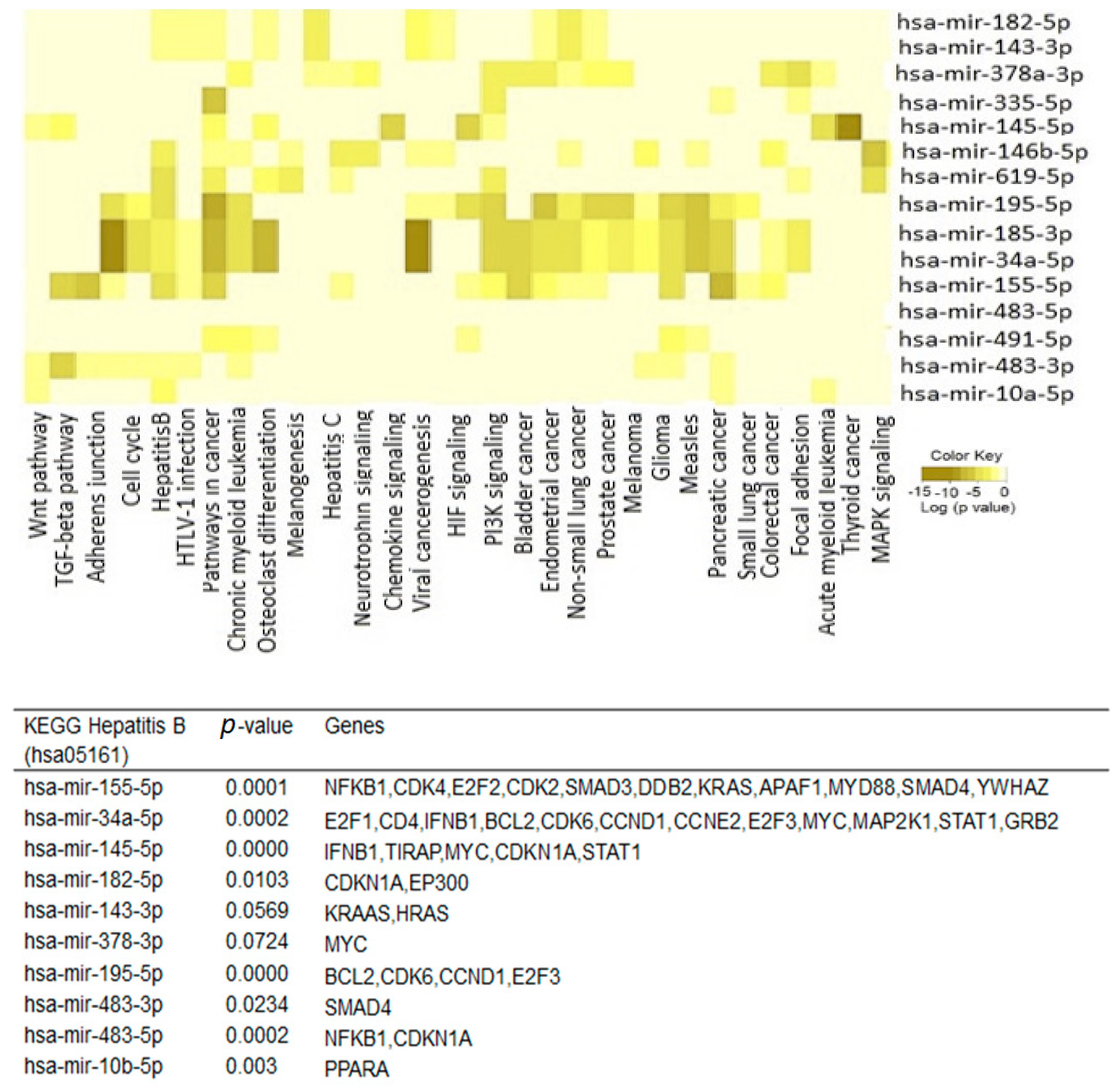 Ijms 24 13098 g004 Ijms 24 13098 g004