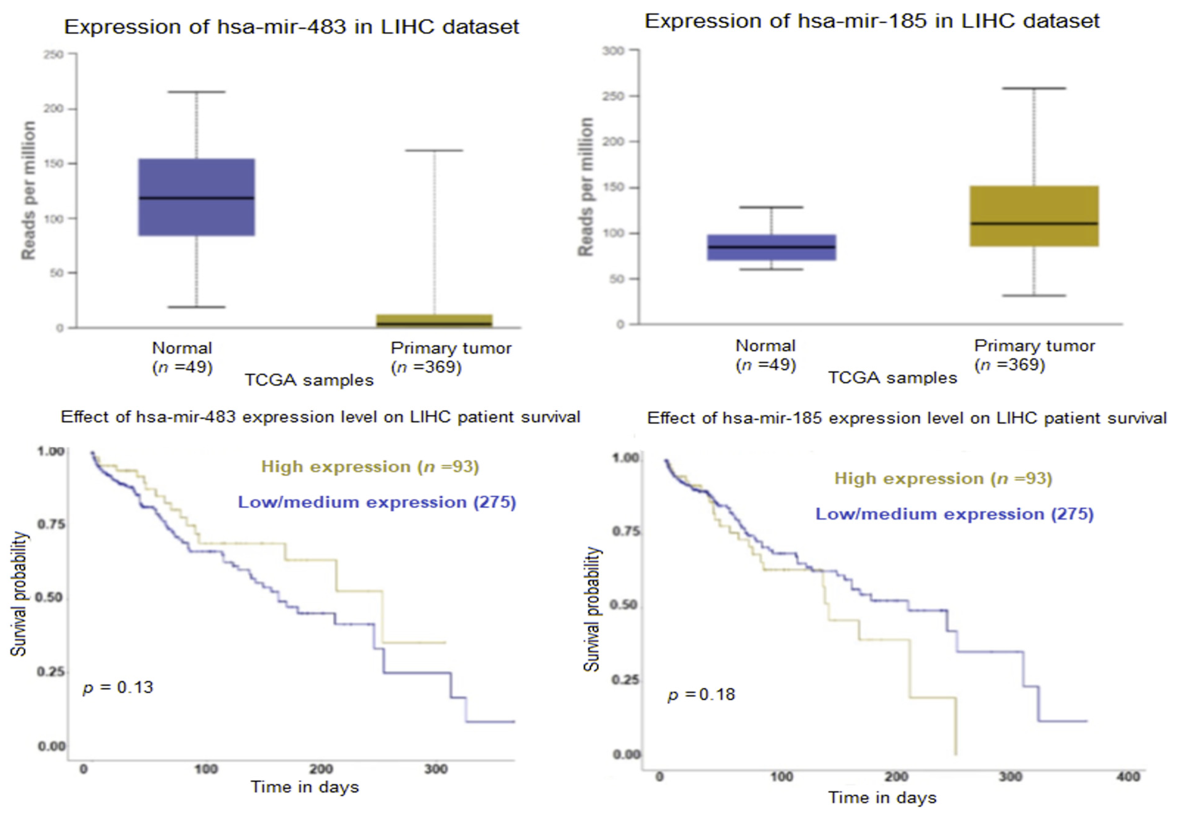 Ijms 24 13098 g005 Ijms 24 13098 g005