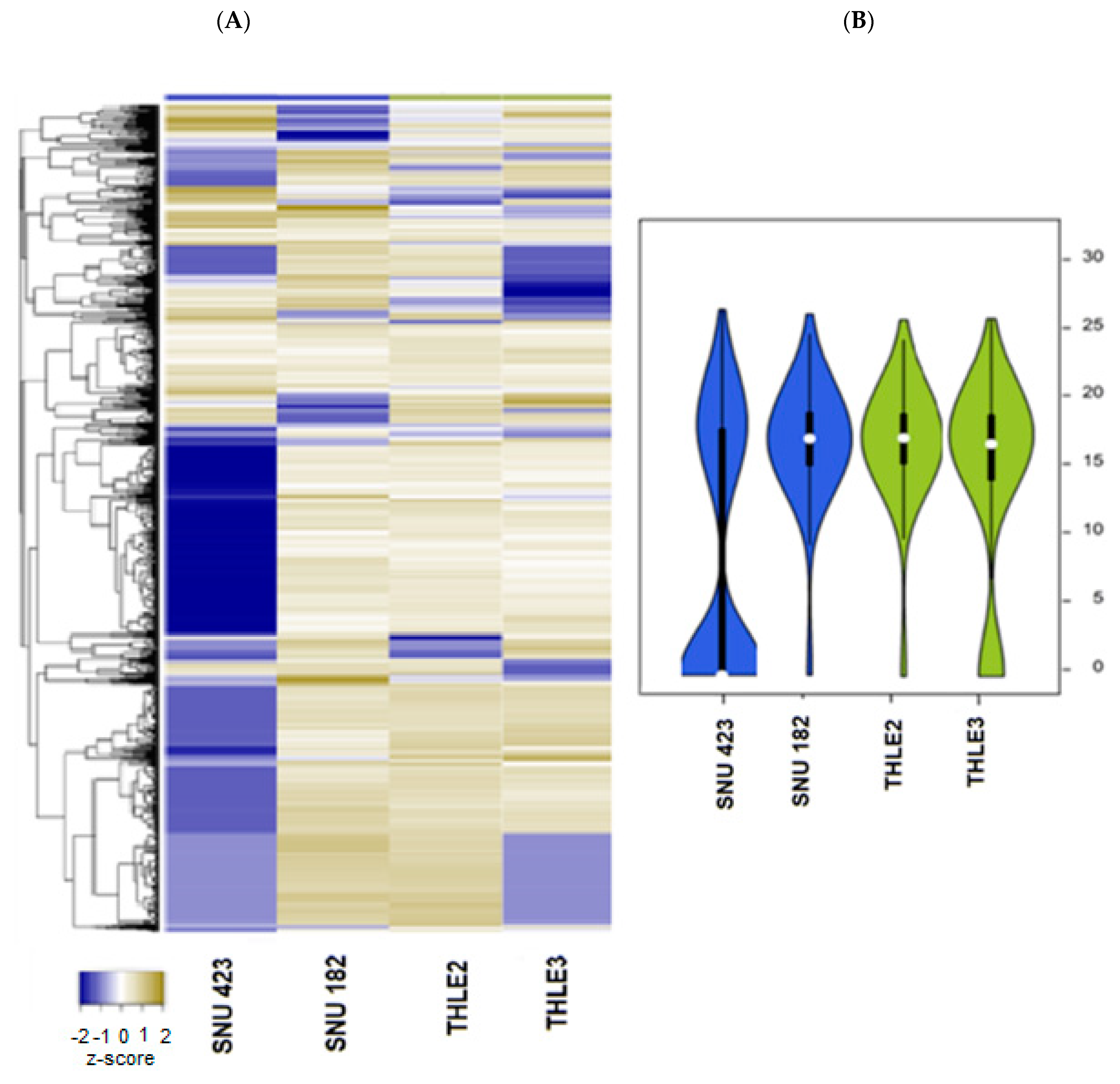 Ijms 24 13098 g006 Ijms 24 13098 g006