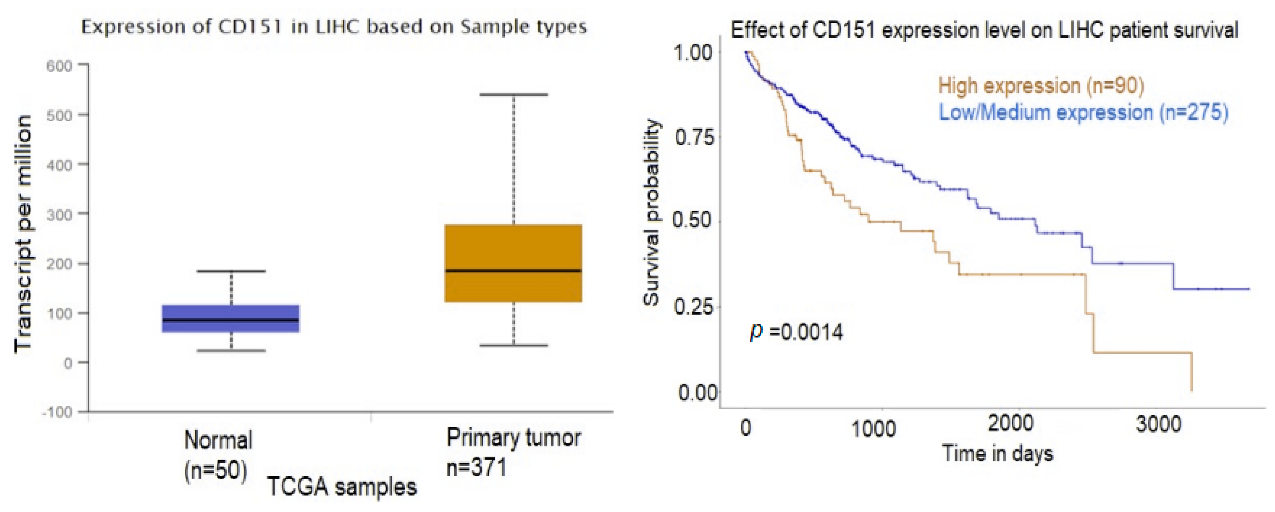 Ijms 24 13098 g007 Ijms 24 13098 g007