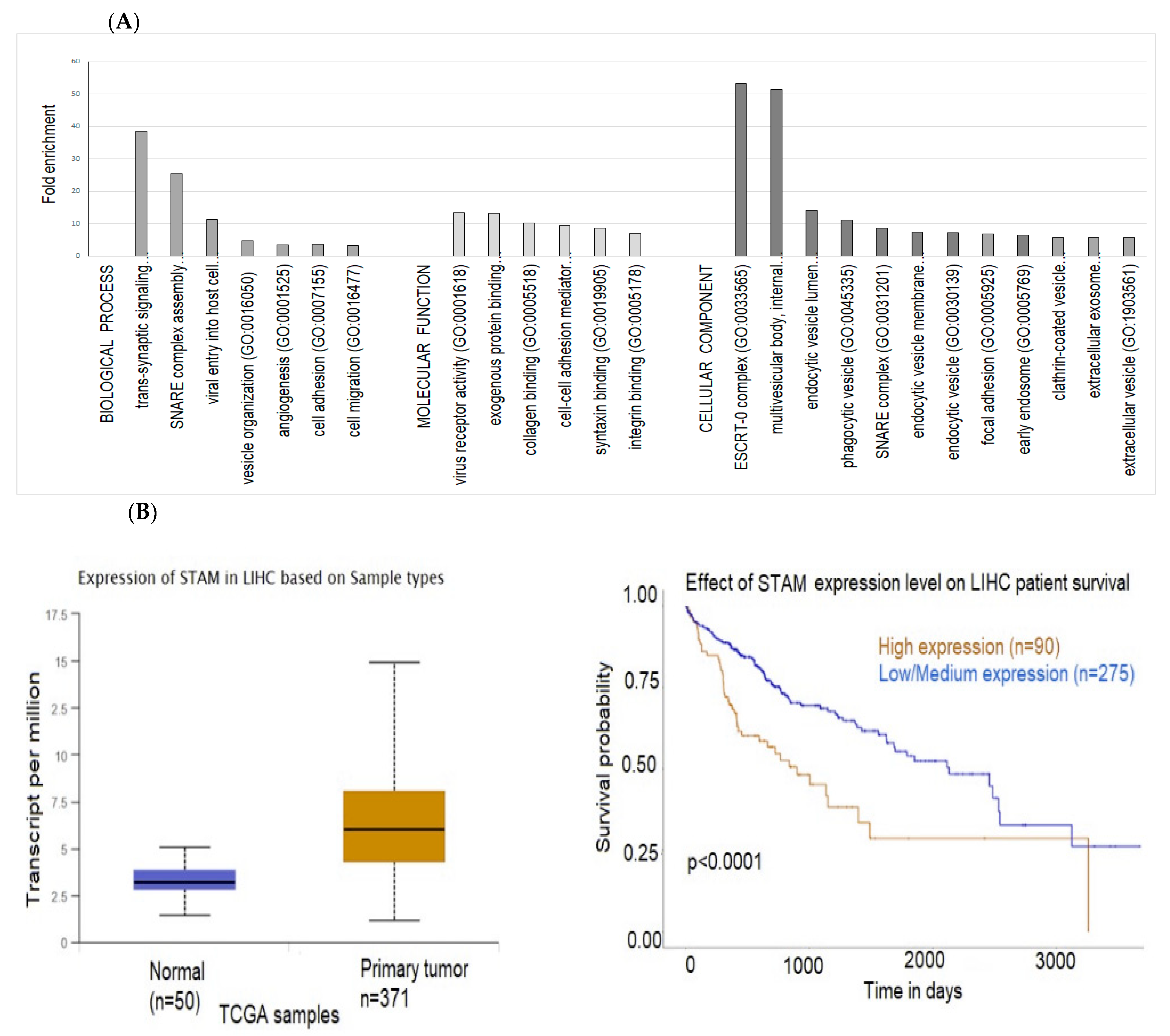 Ijms 24 13098 g008 Ijms 24 13098 g008