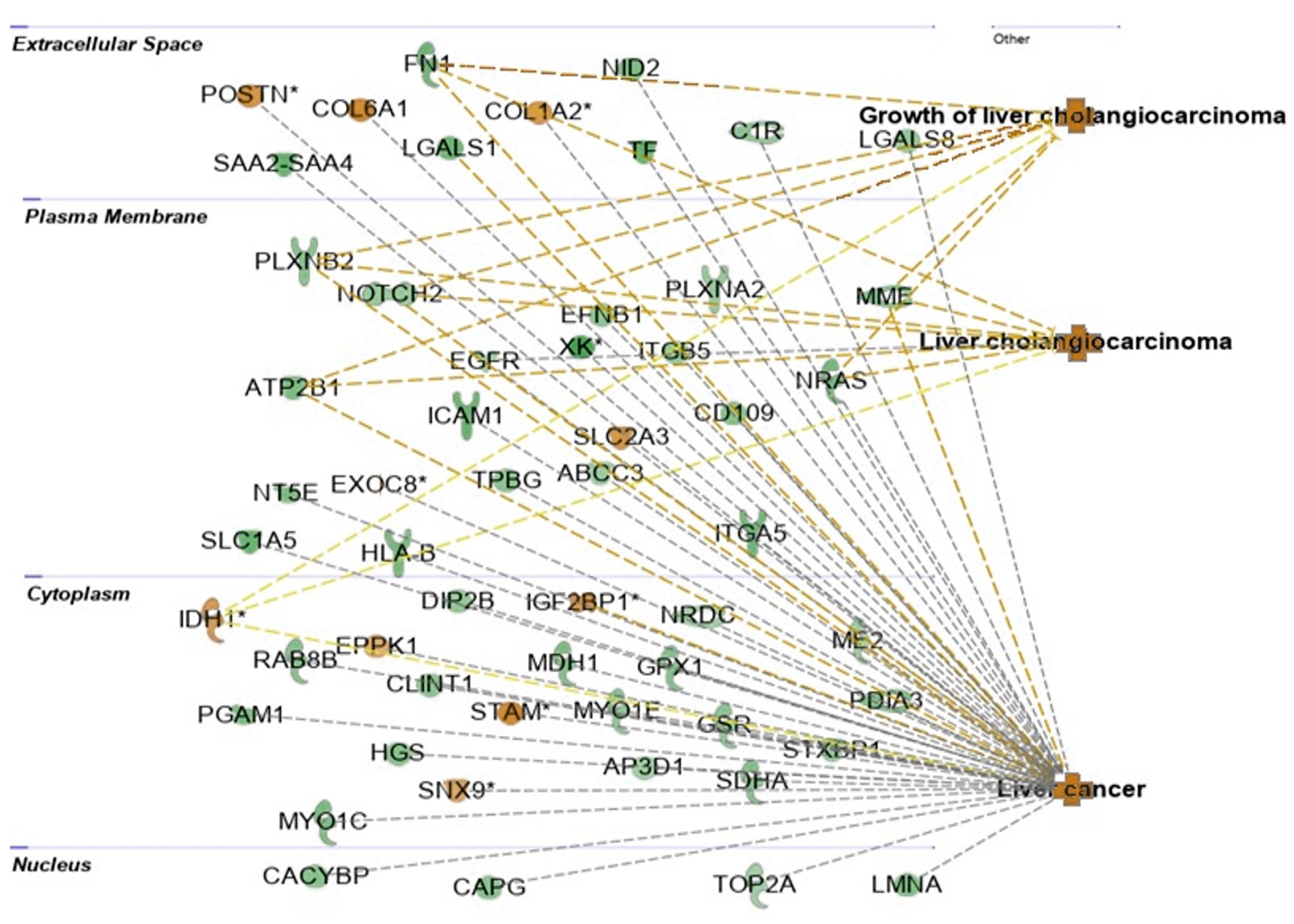 Ijms 24 13098 g009b Ijms 24 13098 g009b