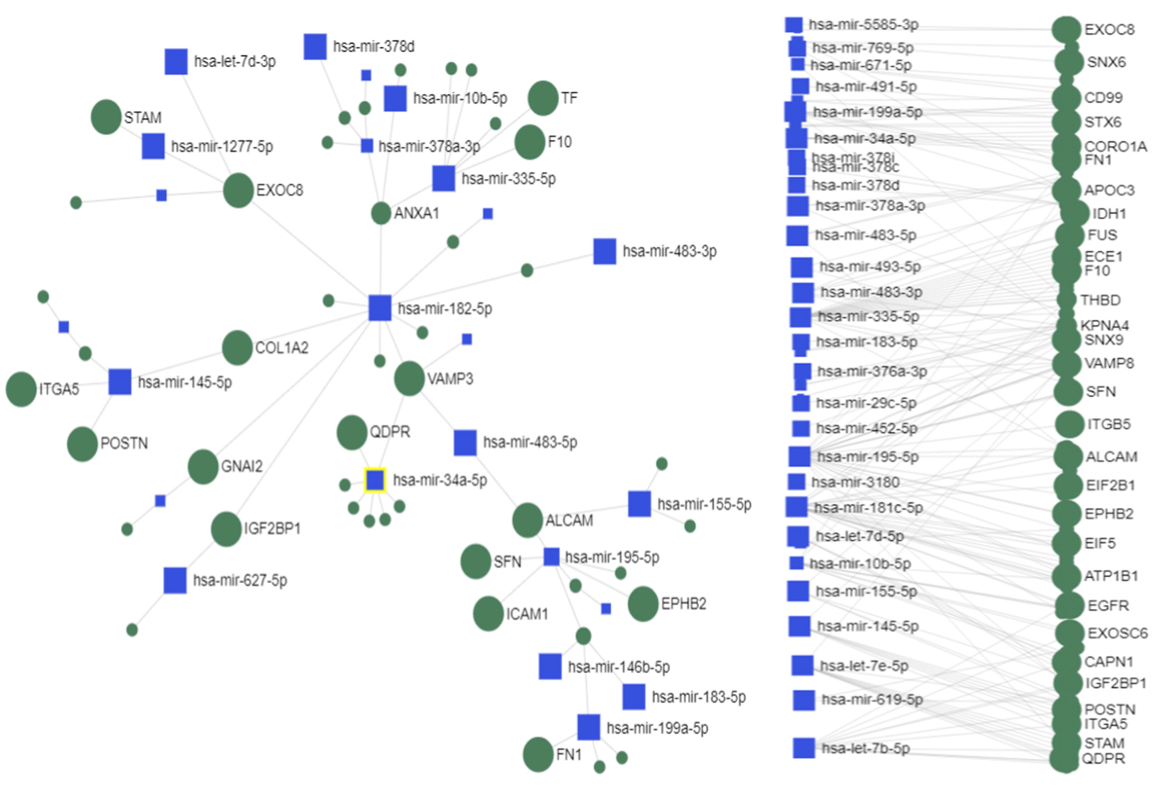 Ijms 24 13098 g010a Ijms 24 13098 g010a