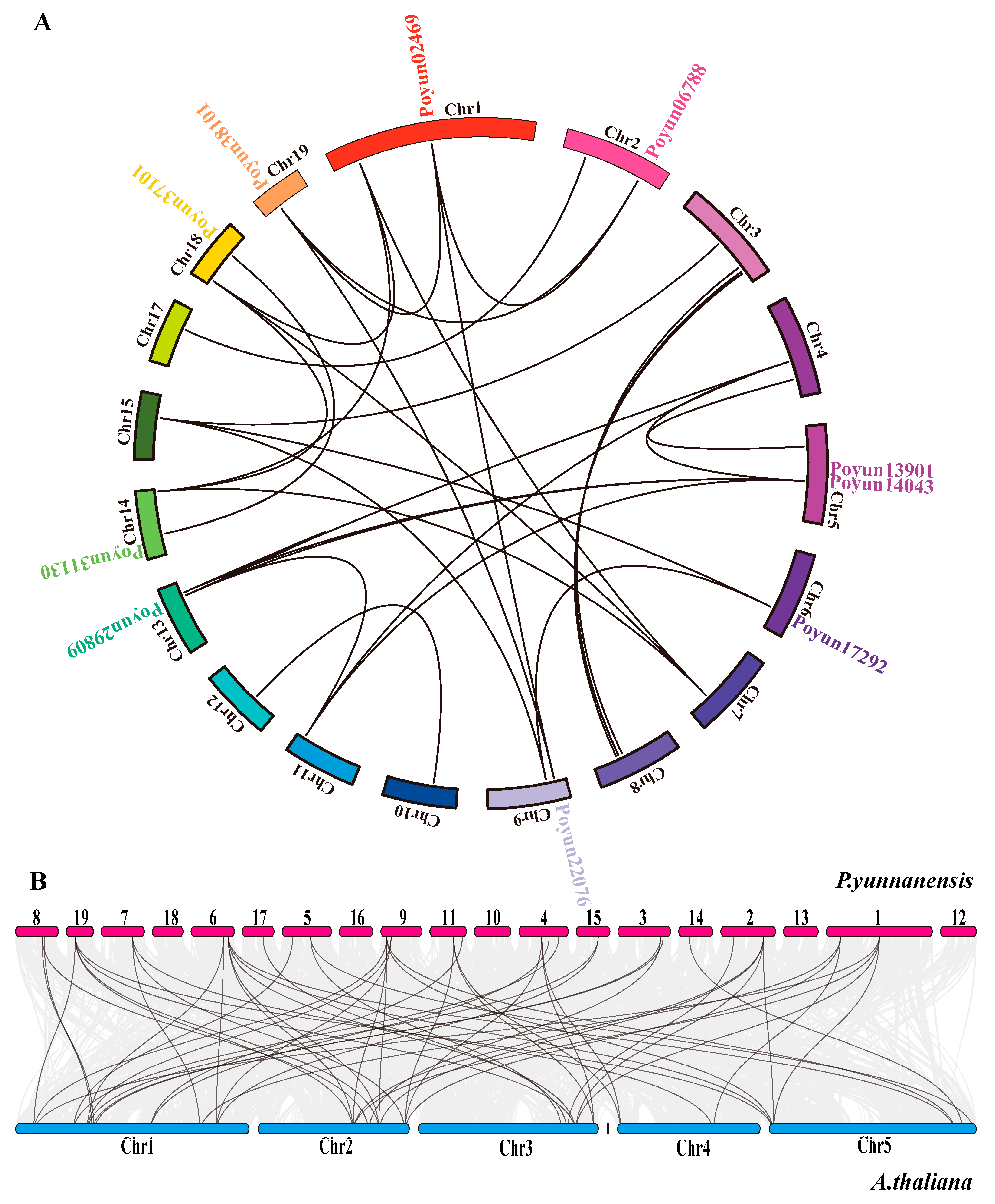 Cyclic Relationship Graph